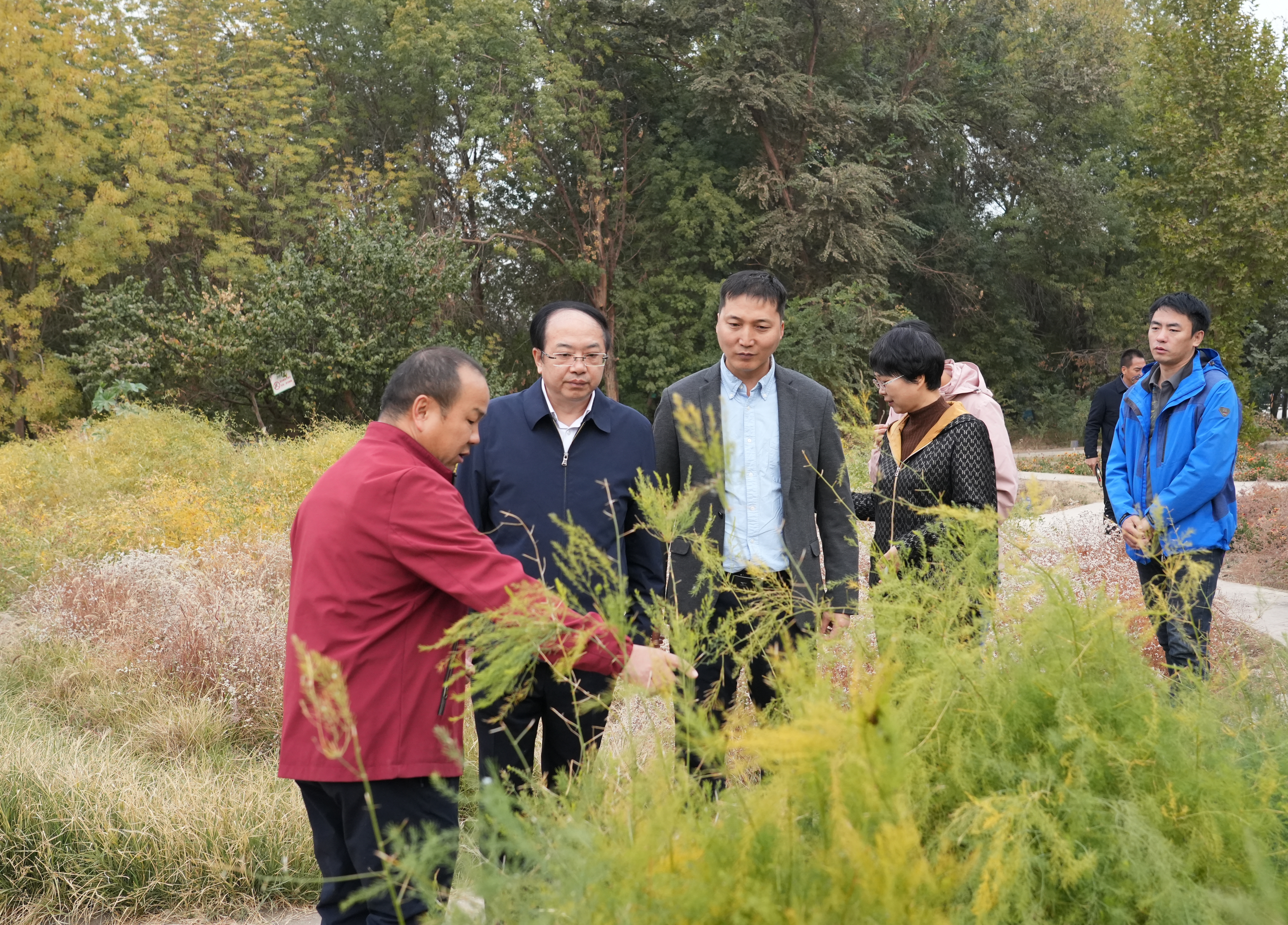 mmexport1761468873059