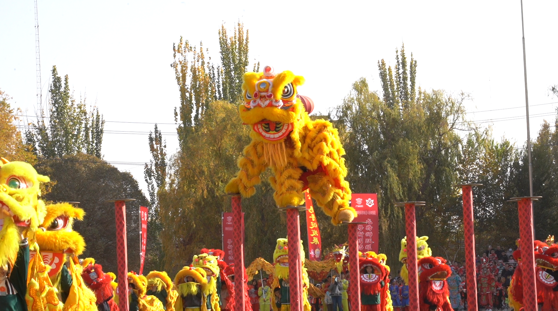 mmexport1762778144986