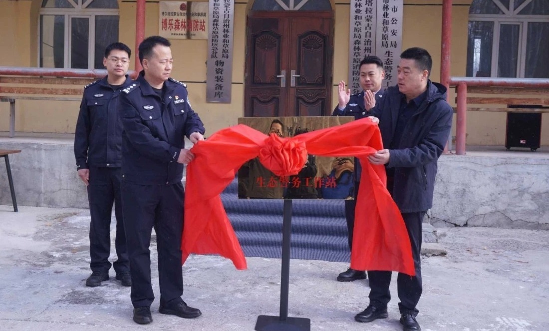 mmexport1772034972345