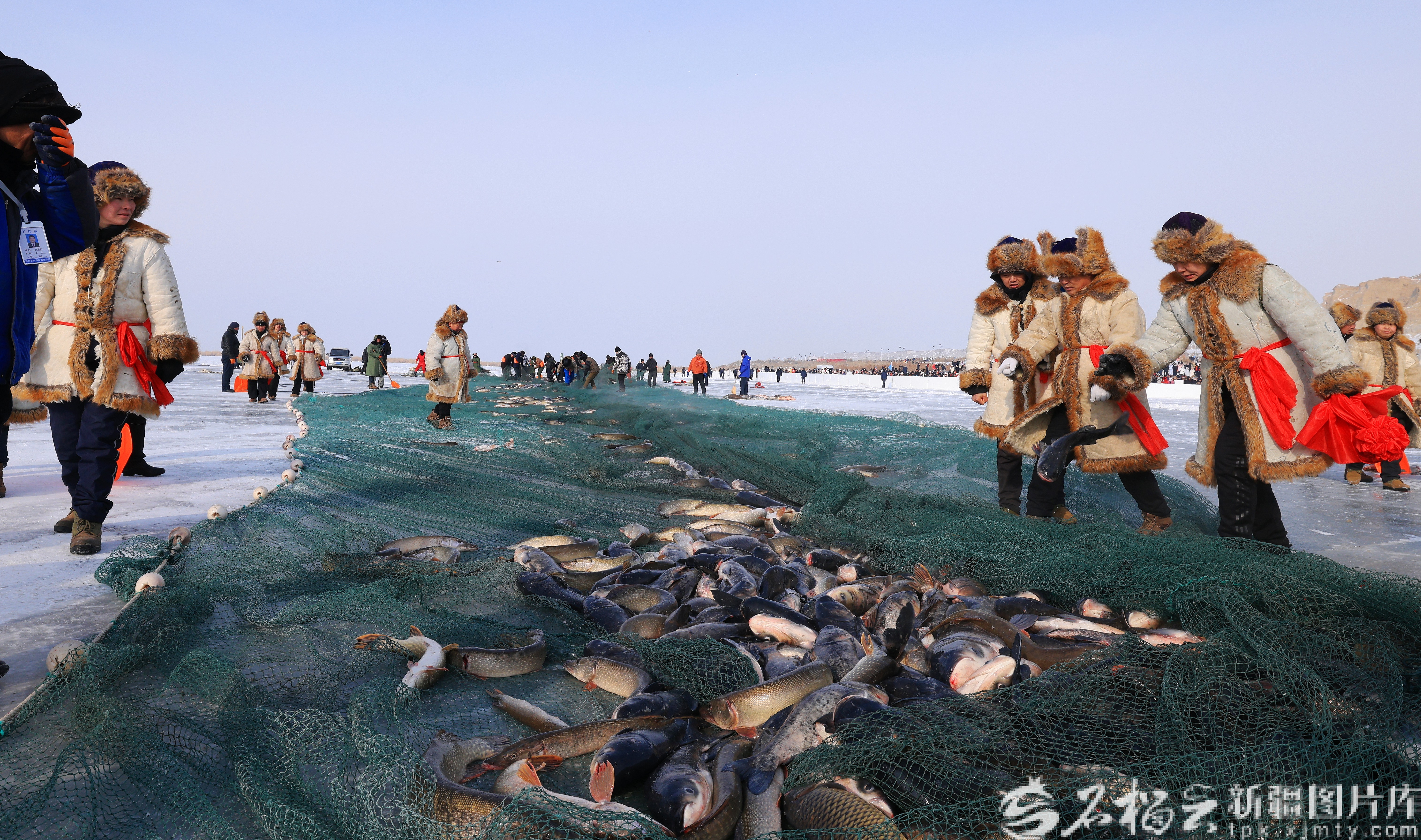 IMG_CROP_20260125_16473188