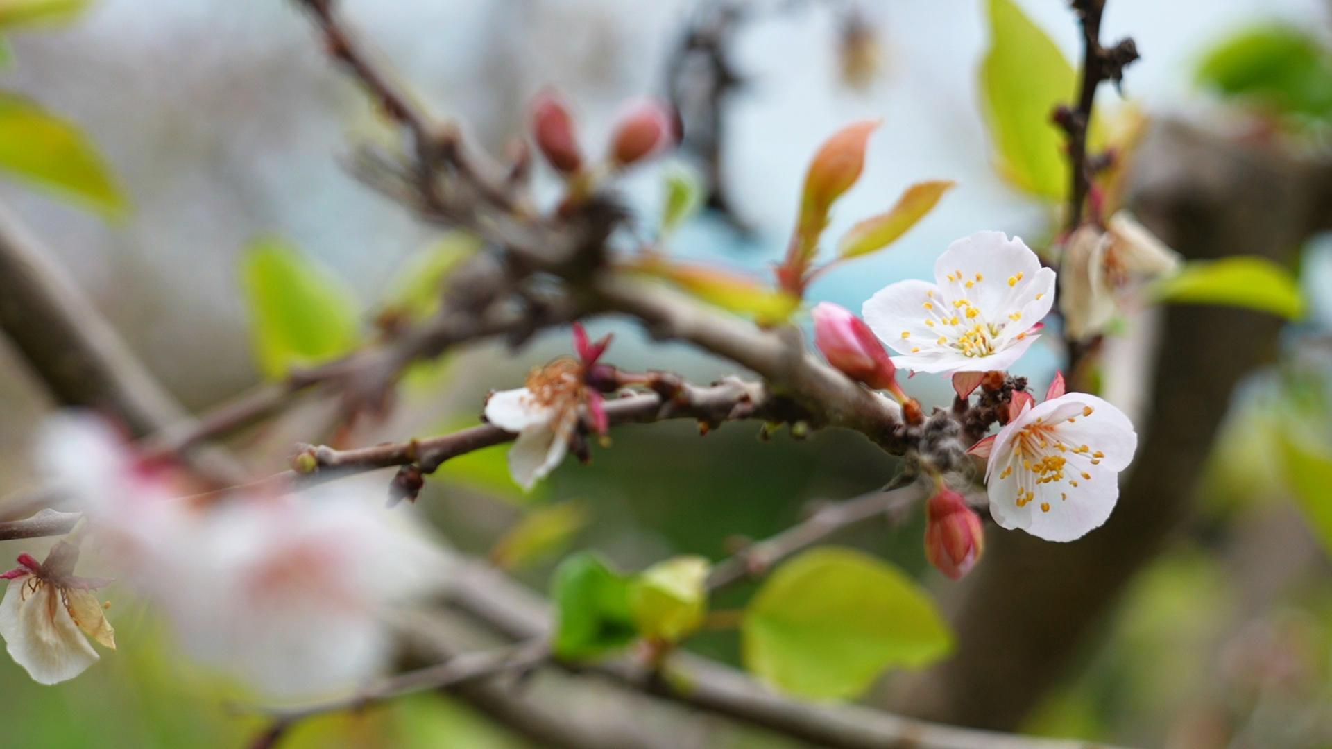 走进墨玉小三亚寻找春的气息