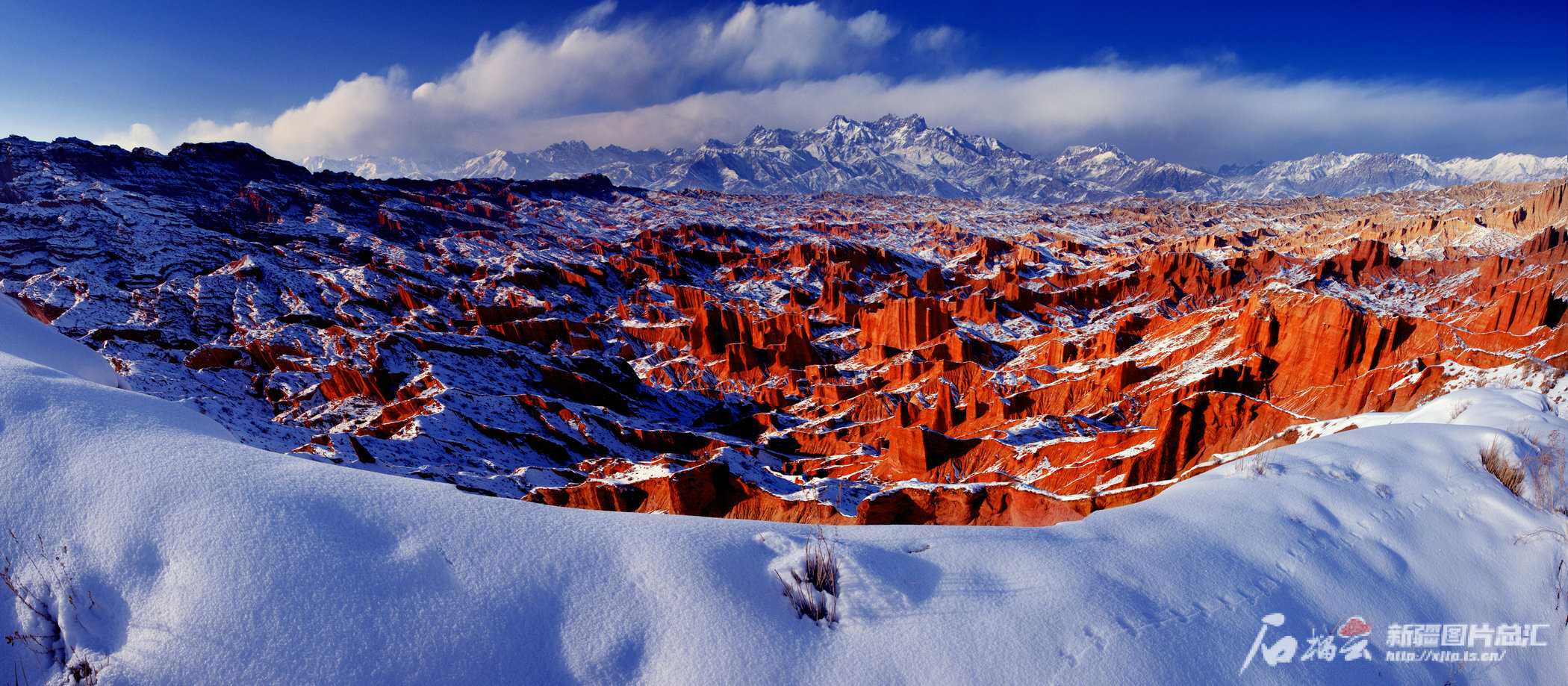 阿克苏地区用干在实处为诗和远方添彩