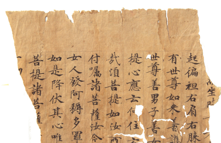 mmexport97bebd43488ec98adb3b1eca2b60cb81_1768283533741_edit_3842484447329