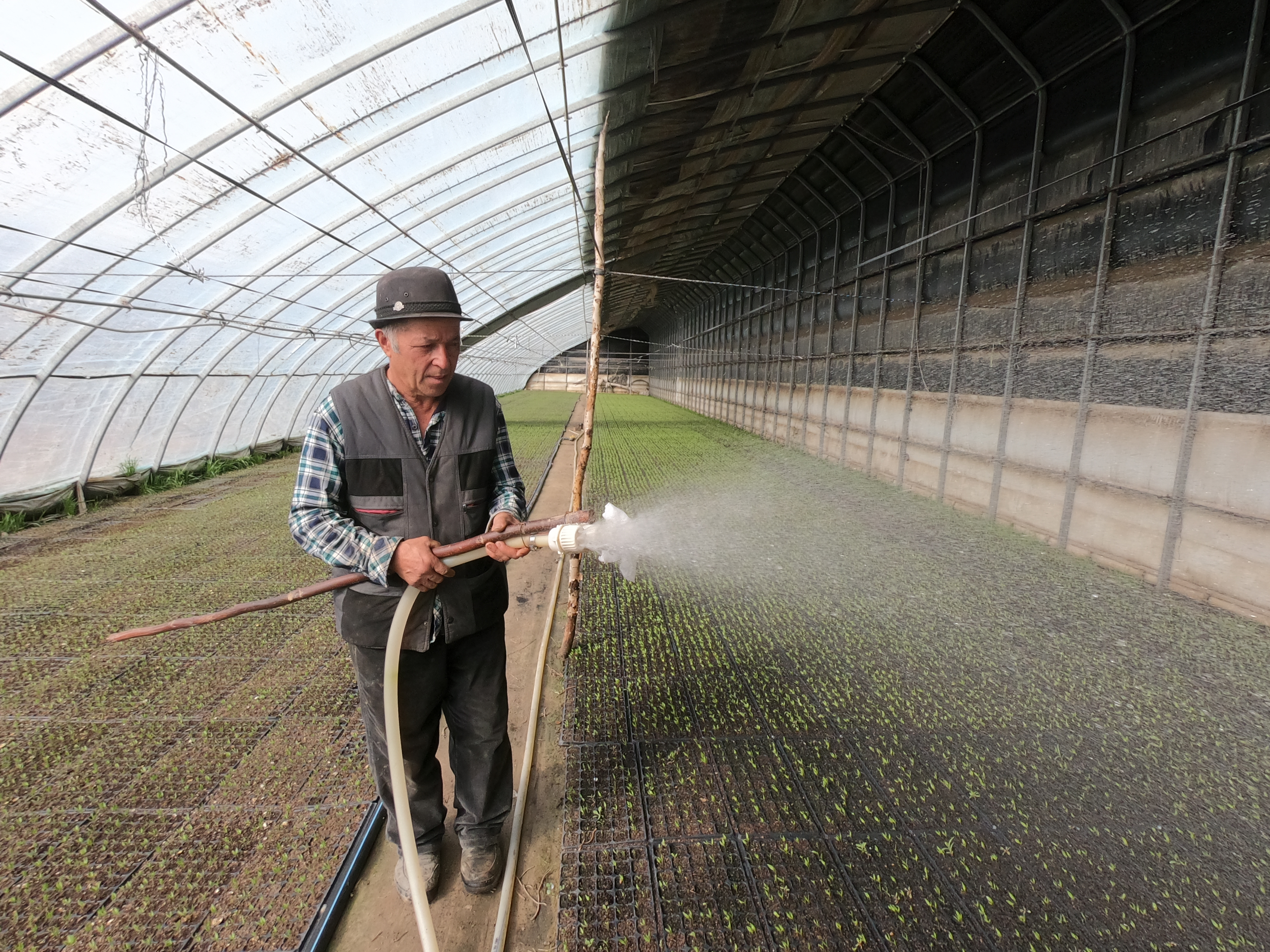 万象耕新不负春墨玉温室大棚育苗忙