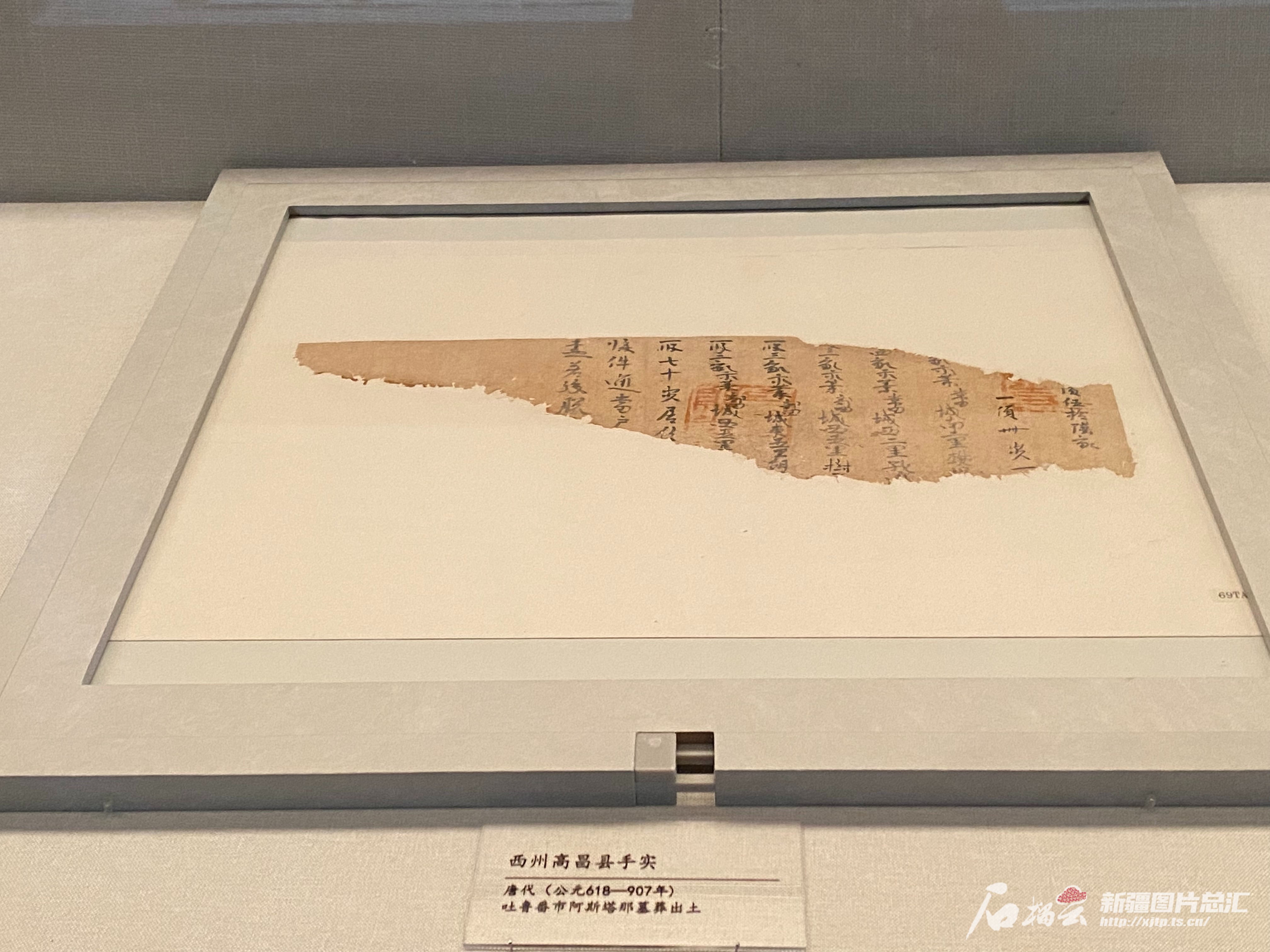 这张唐朝西州高昌县“户口本”写了啥