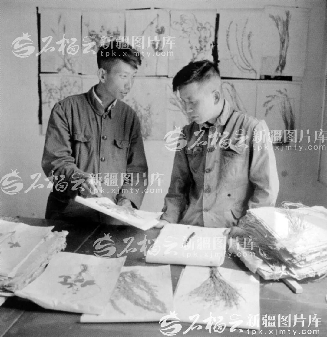 图片