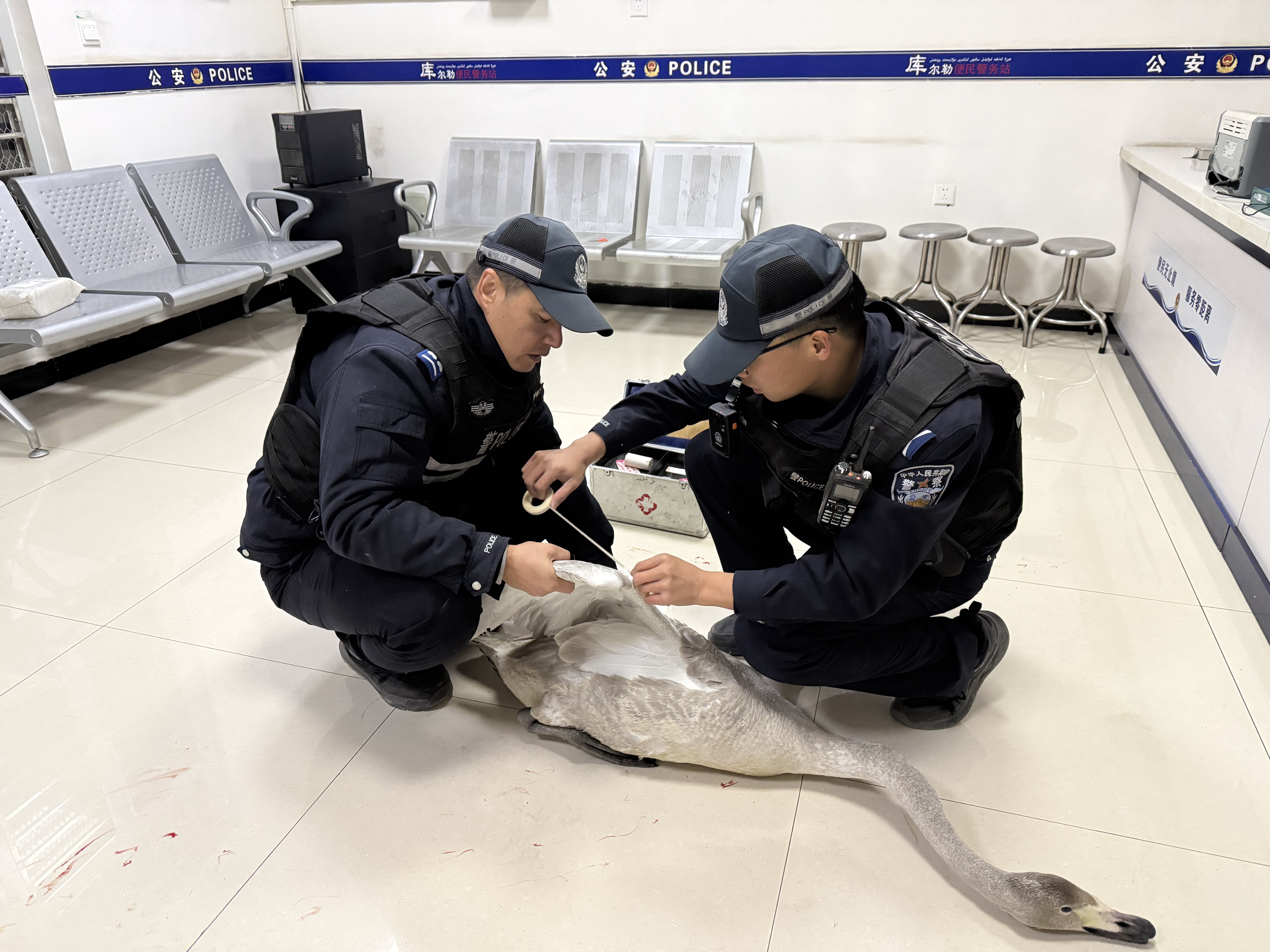 mmexport1764817517912