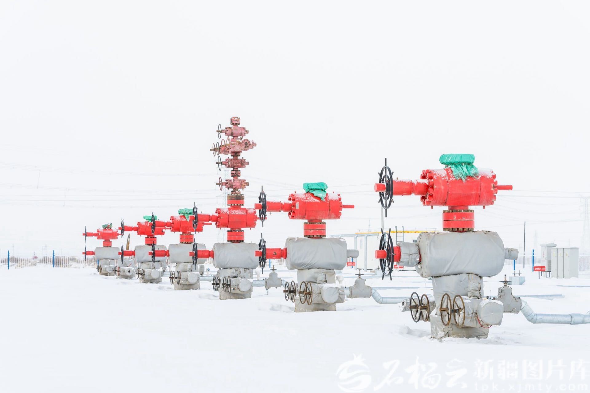 IMG_CROP_20260224_10012839