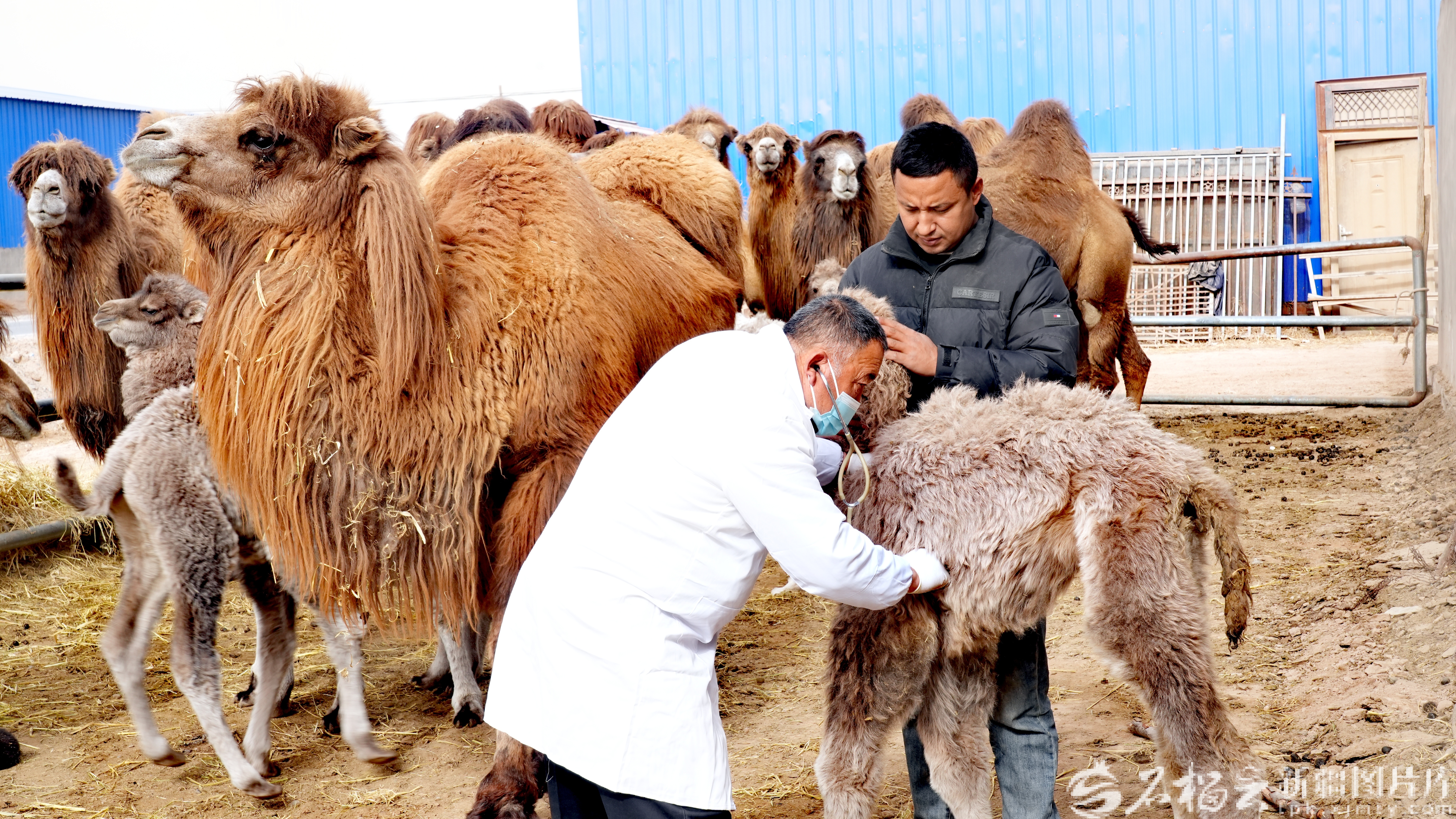 mmexport1772787339823_edit_1090011081533675