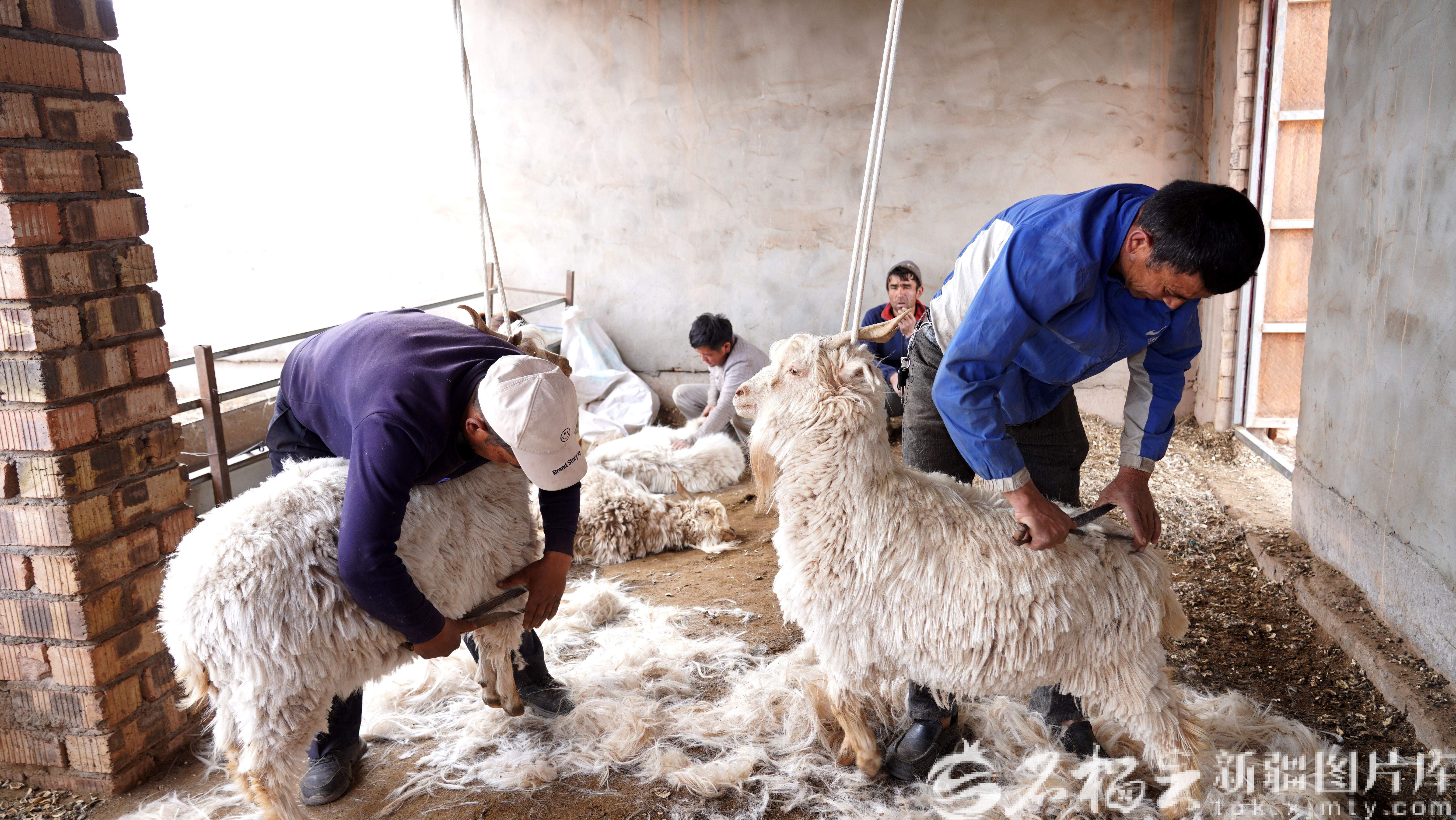 mmexport1773047773472