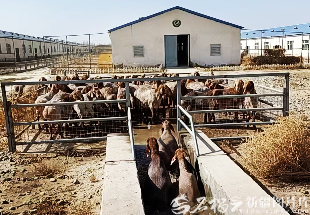 mmexport1773048111873_edit_1267713852568017