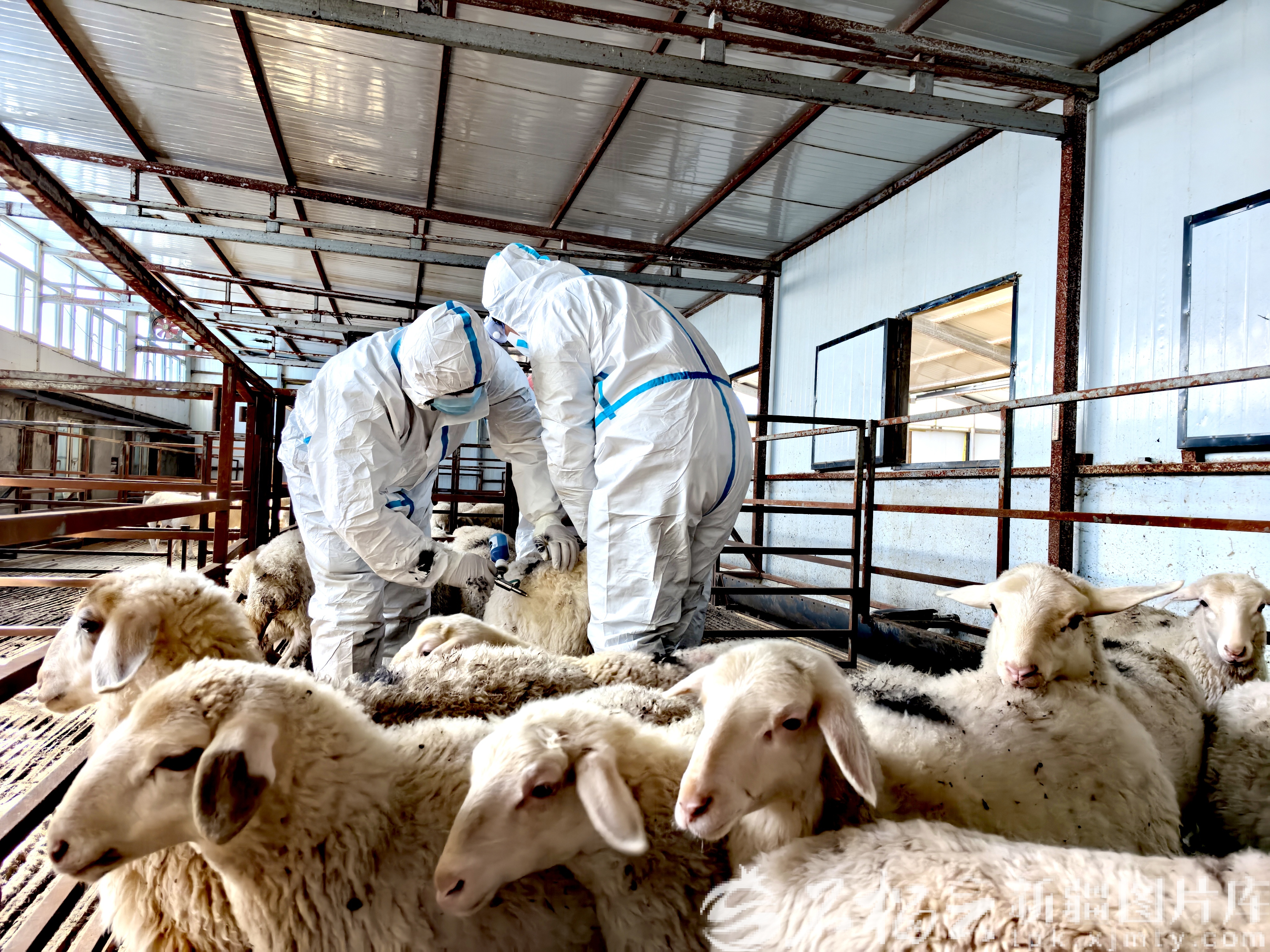 IMG_20260316_162505_edit_1635875403147778