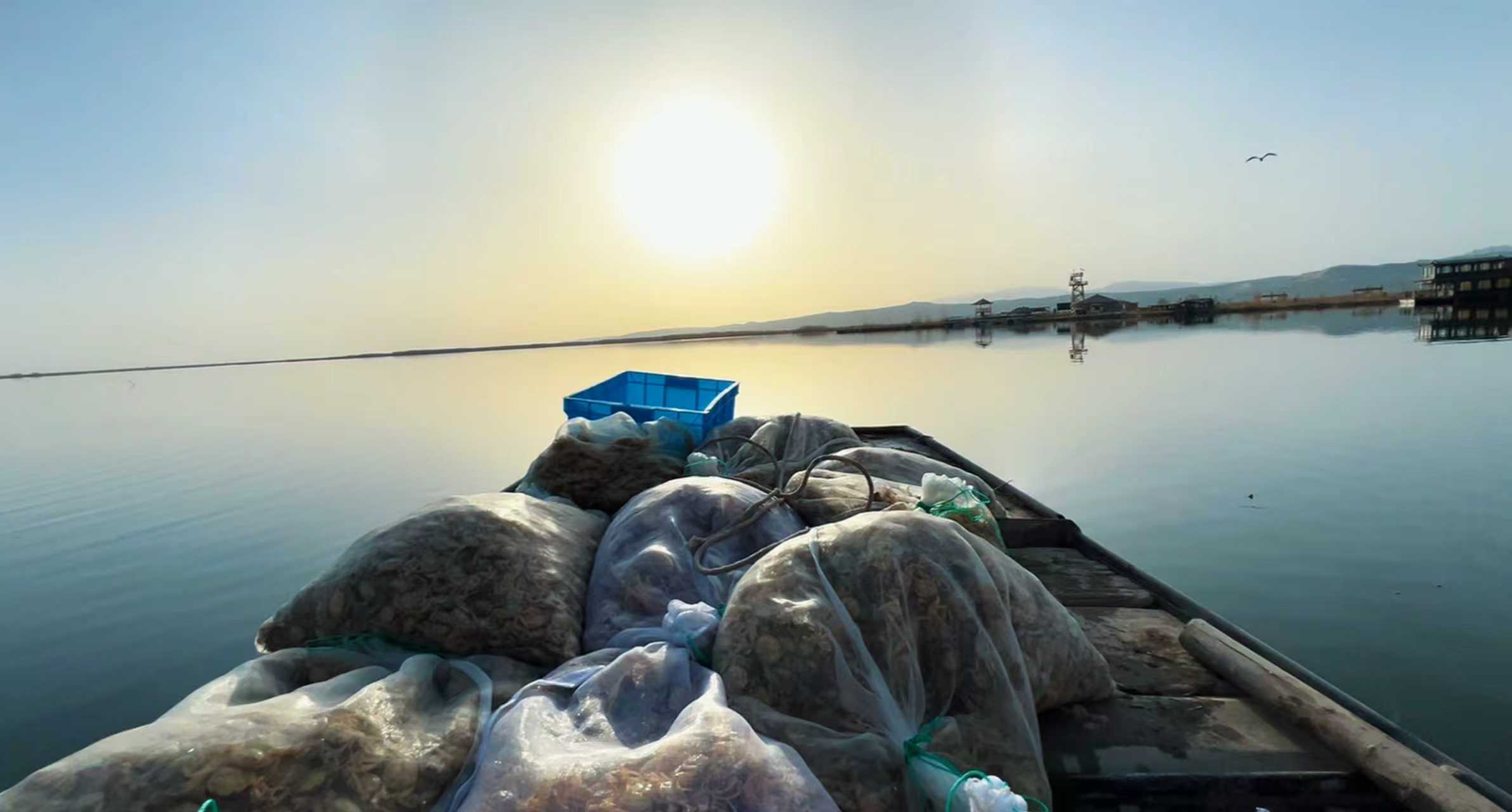 mmexport1775439971530