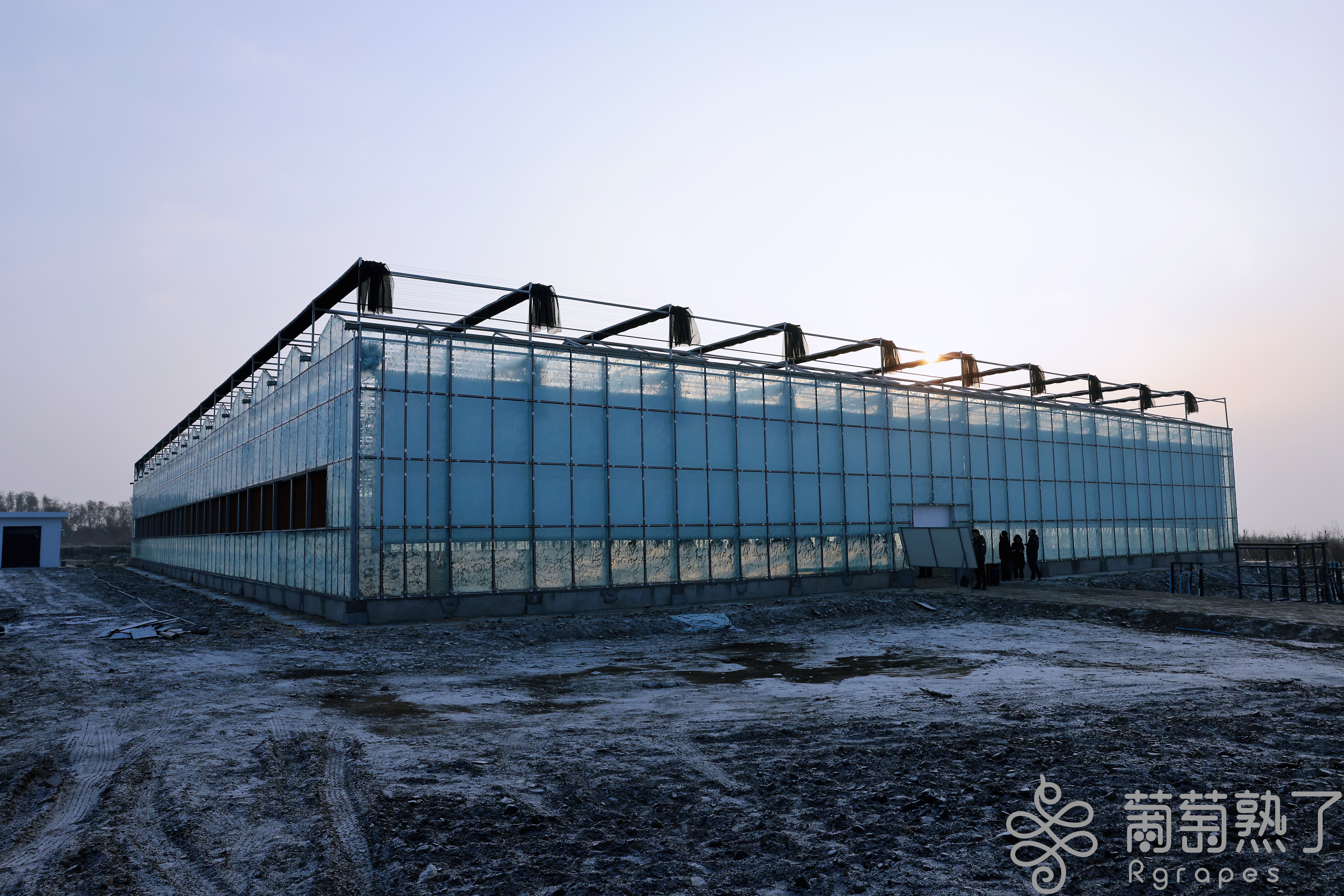 mmexport1735019089724