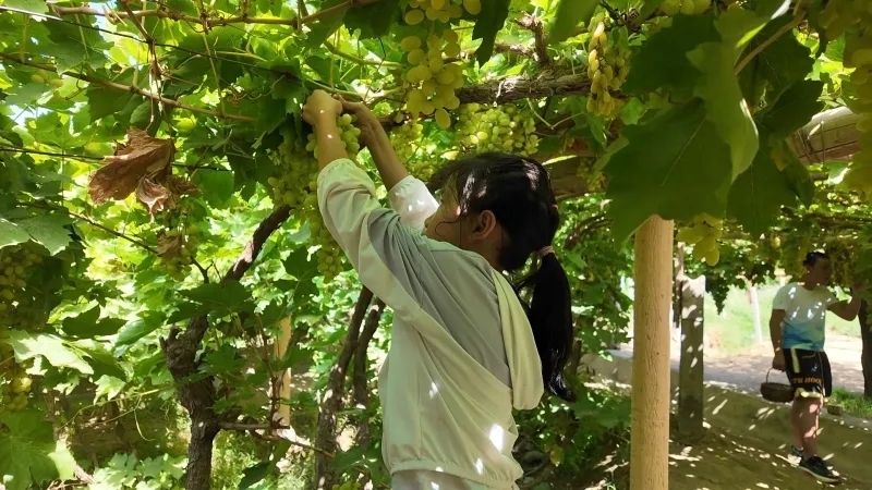 mmexport1753524118749