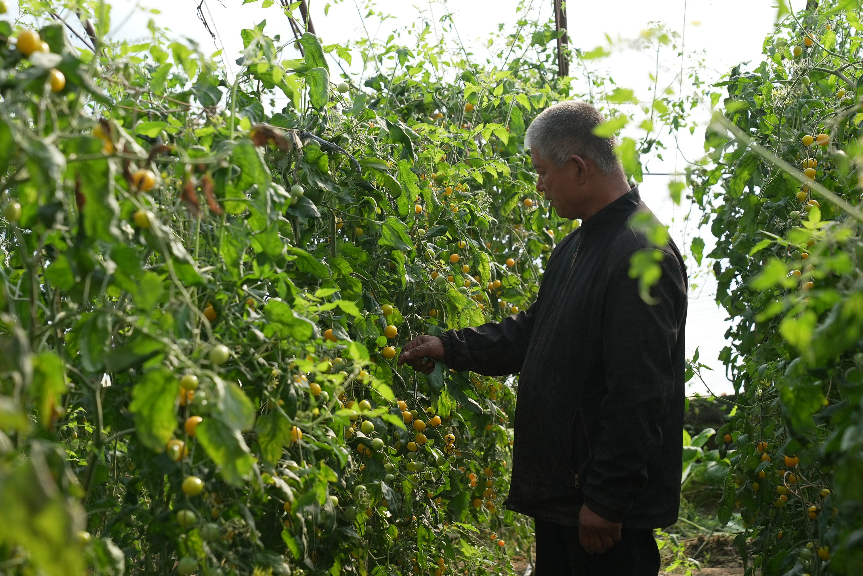 mmexport1762867295916