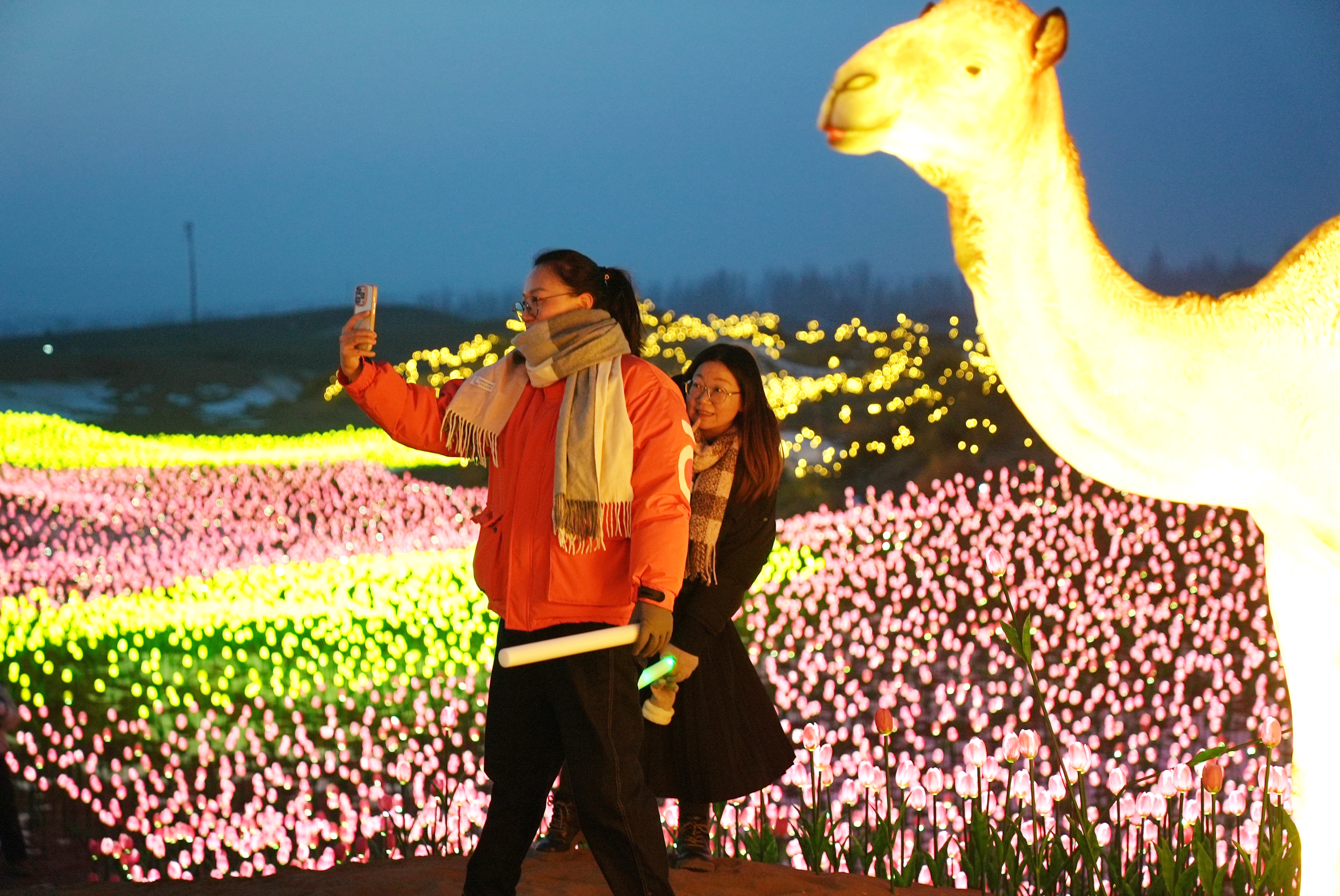 mmexport1767294064397_edit_57234164495301