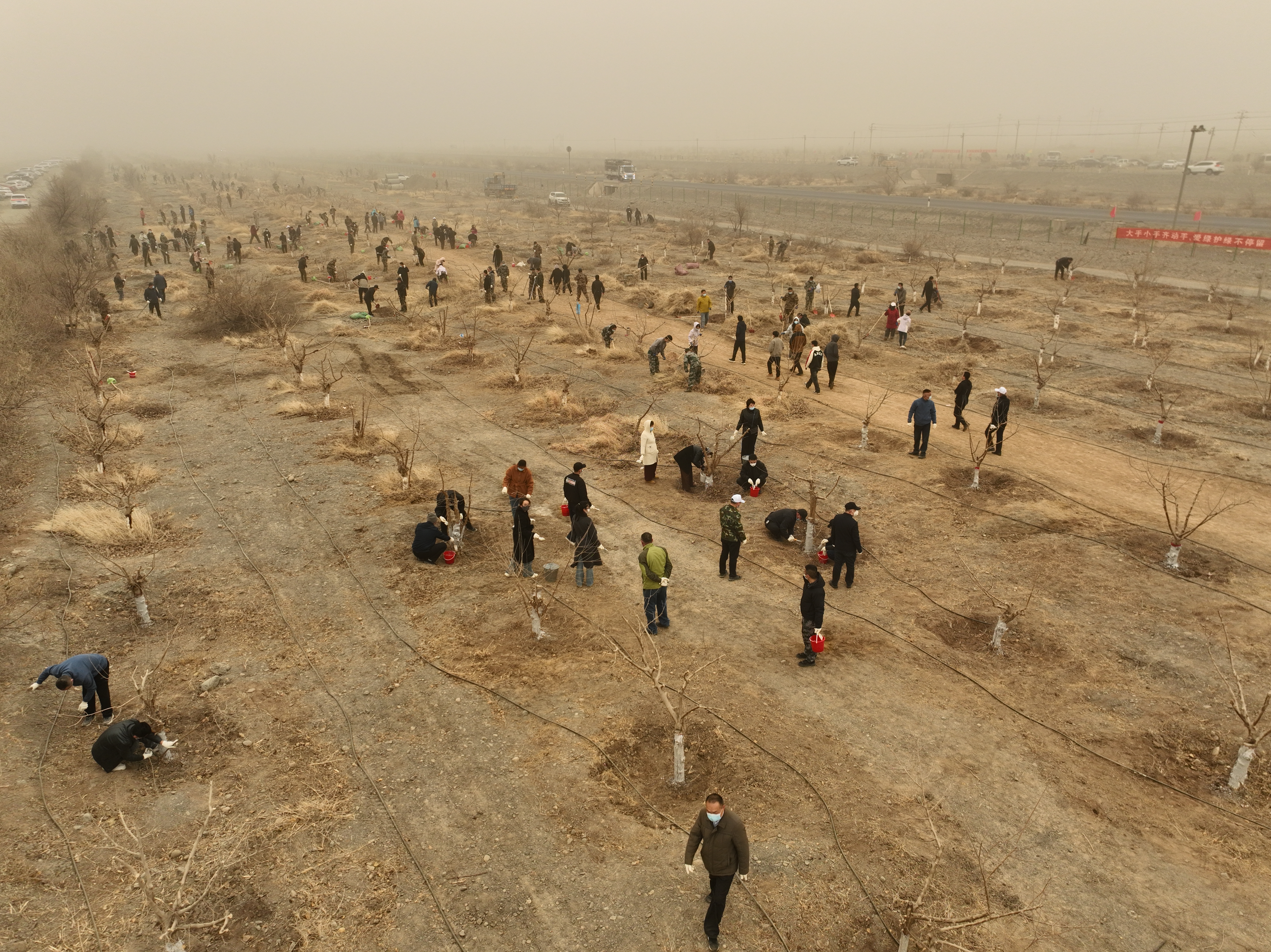 mmexport1773325356339