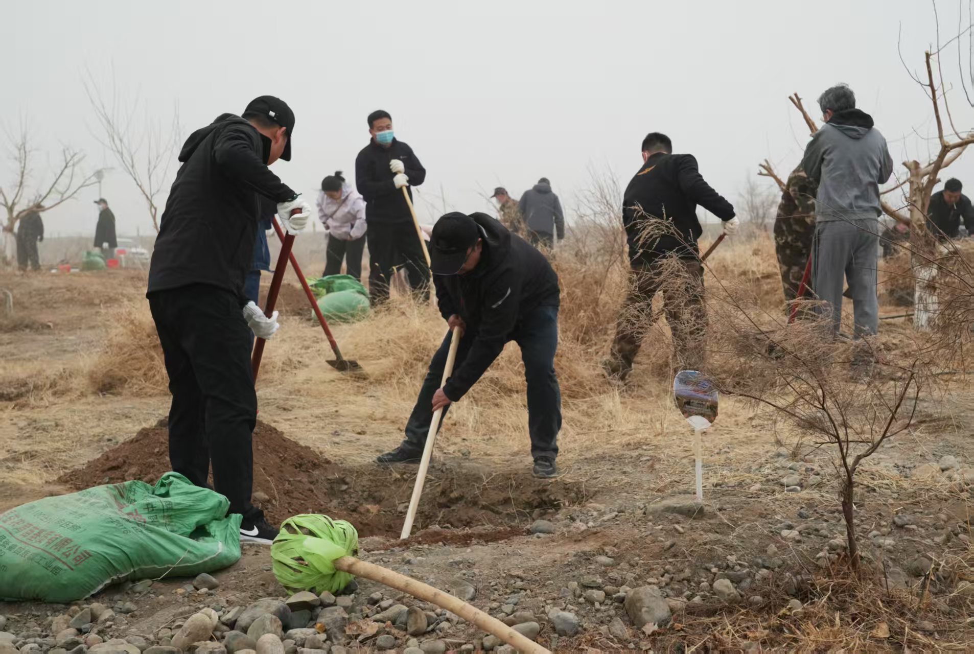 mmexport1773325318034