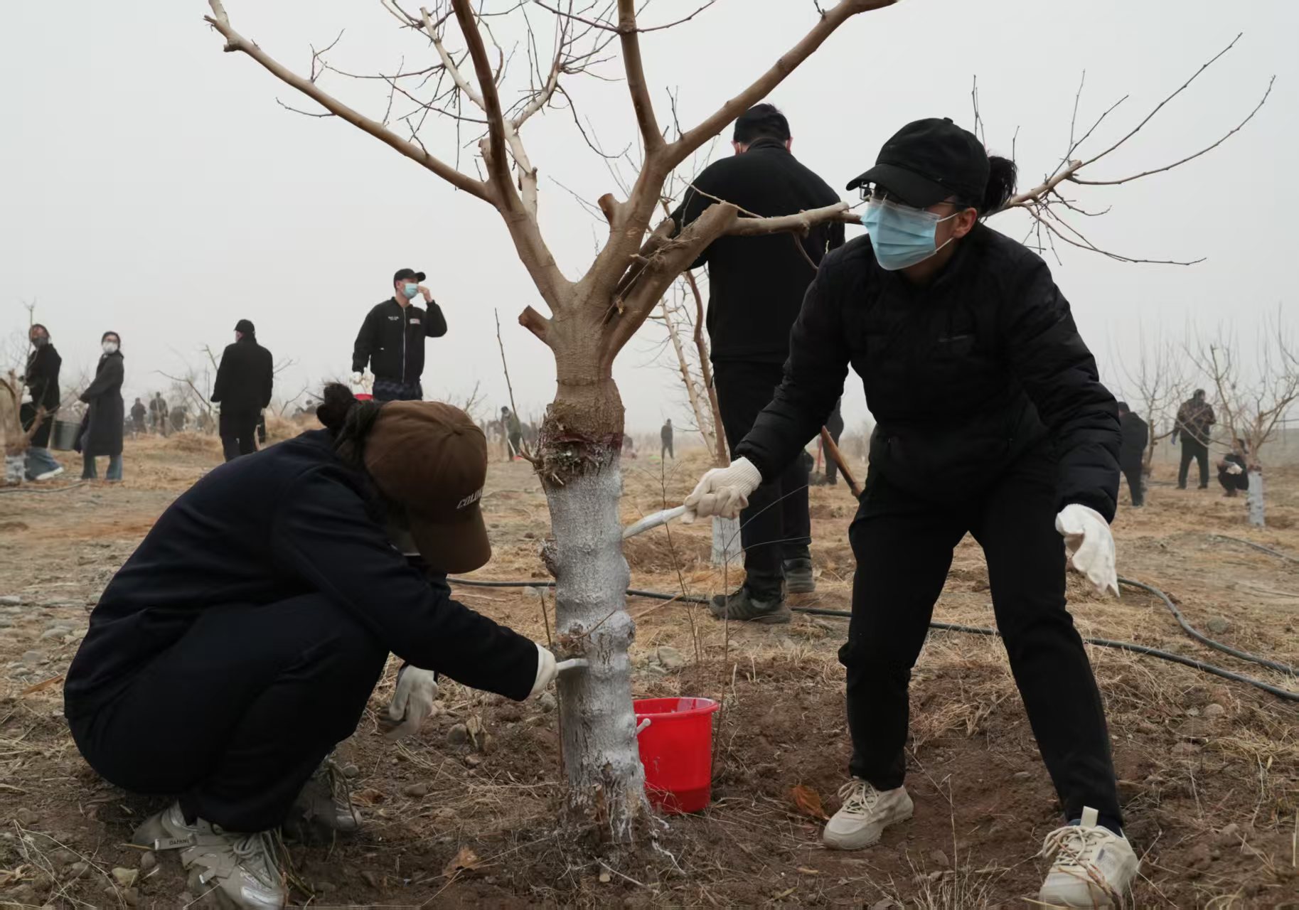 mmexport1773325320905