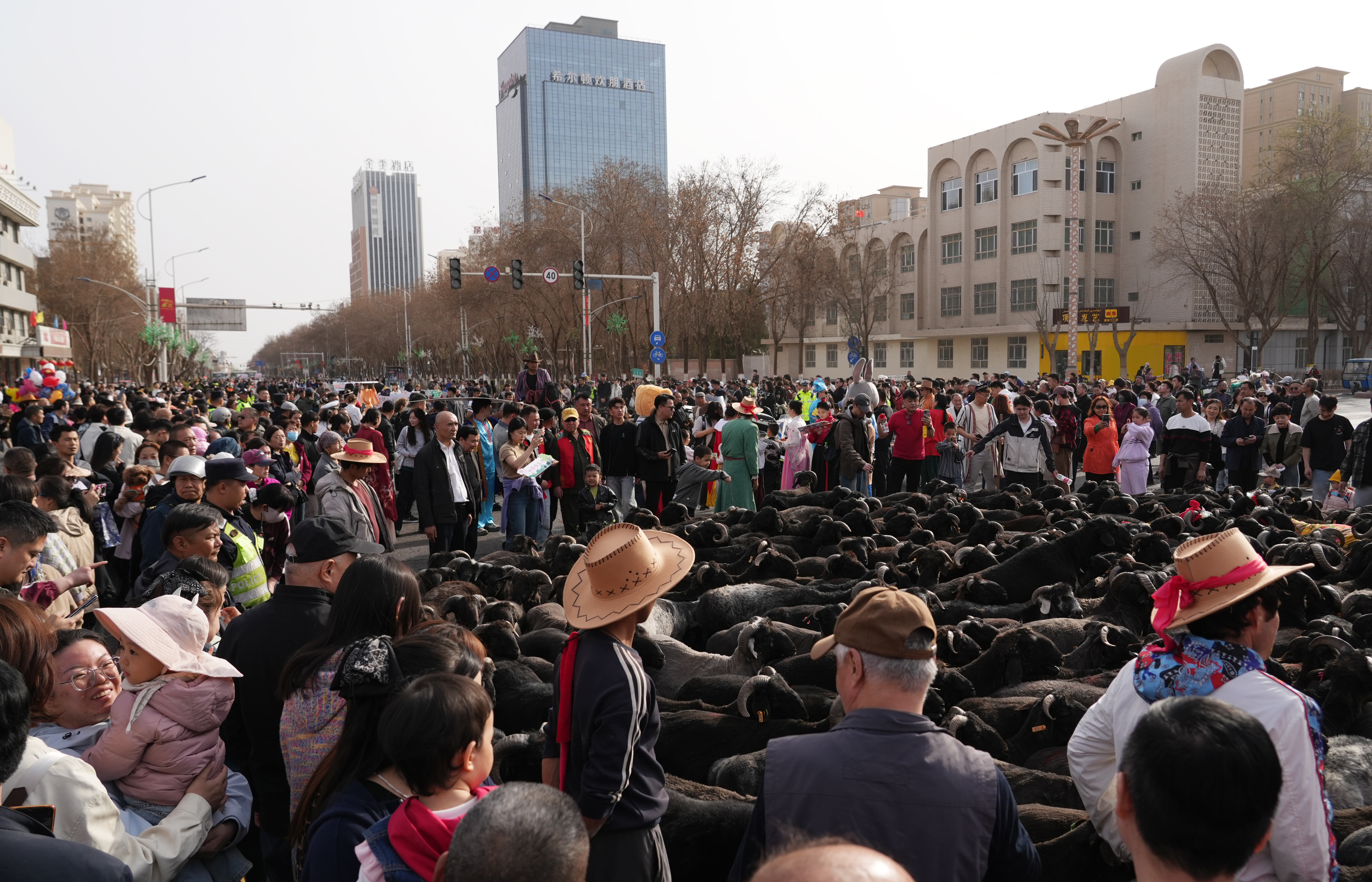 mmexport1774098085875