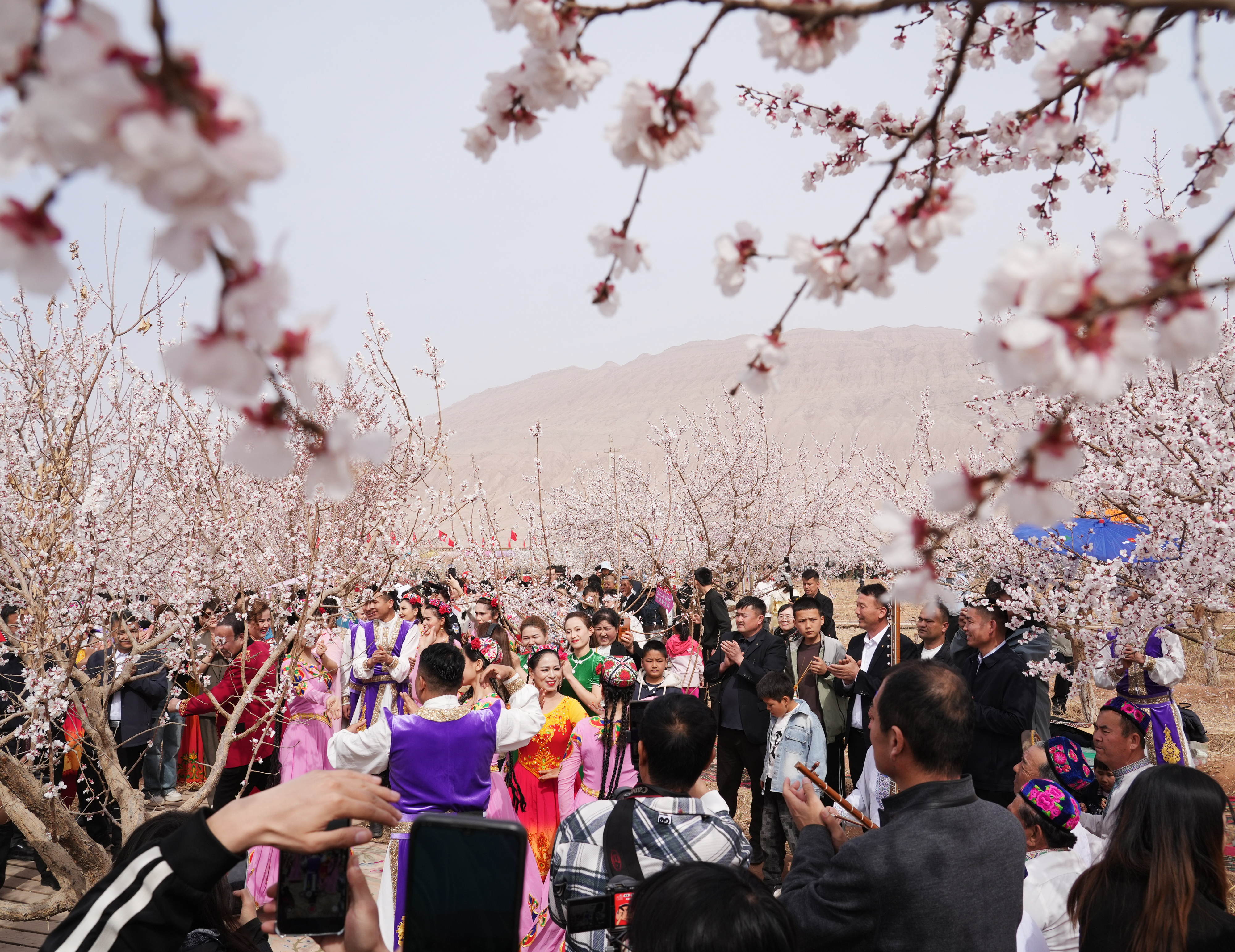 mmexport1774182422849