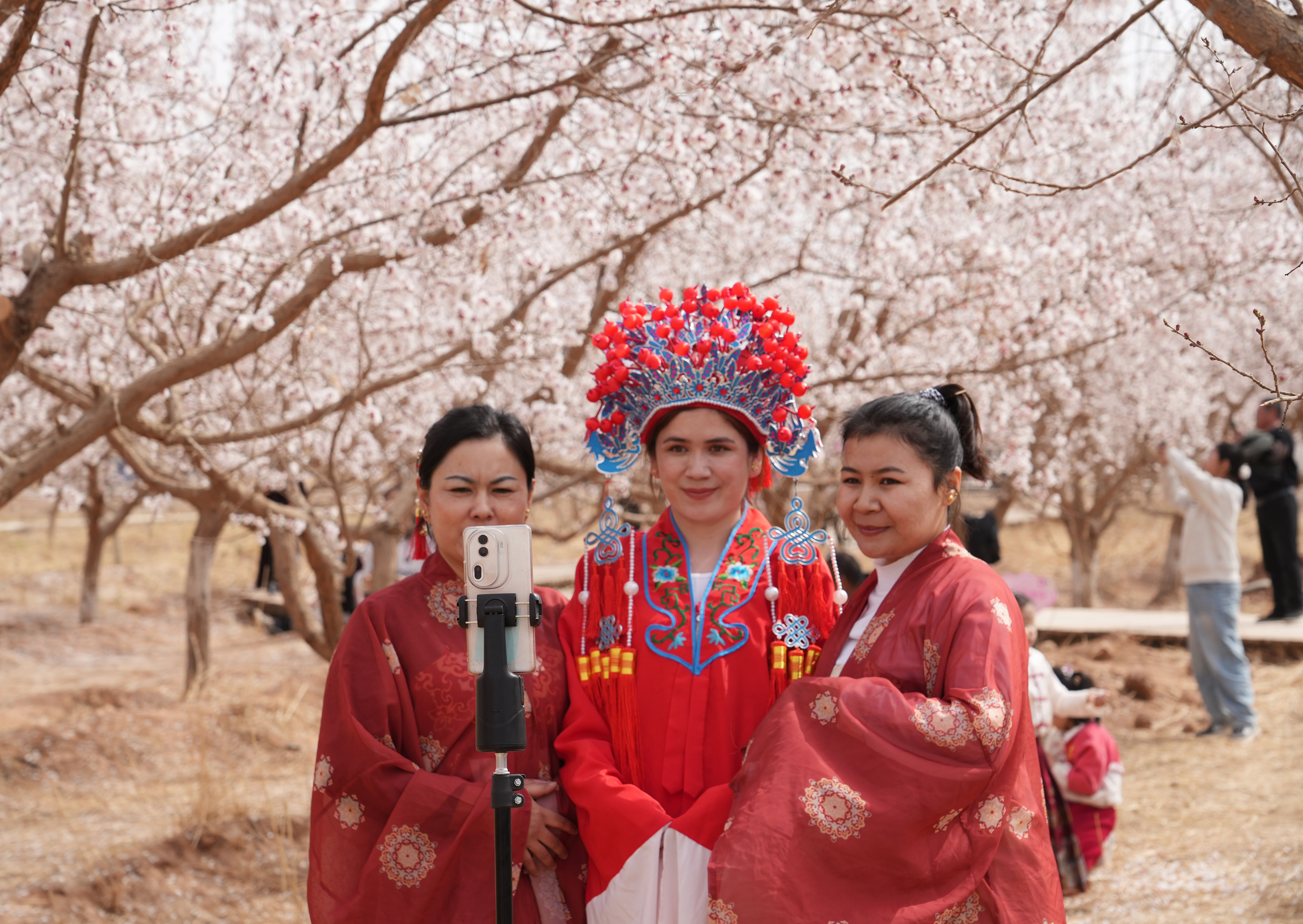 mmexport1774182429197