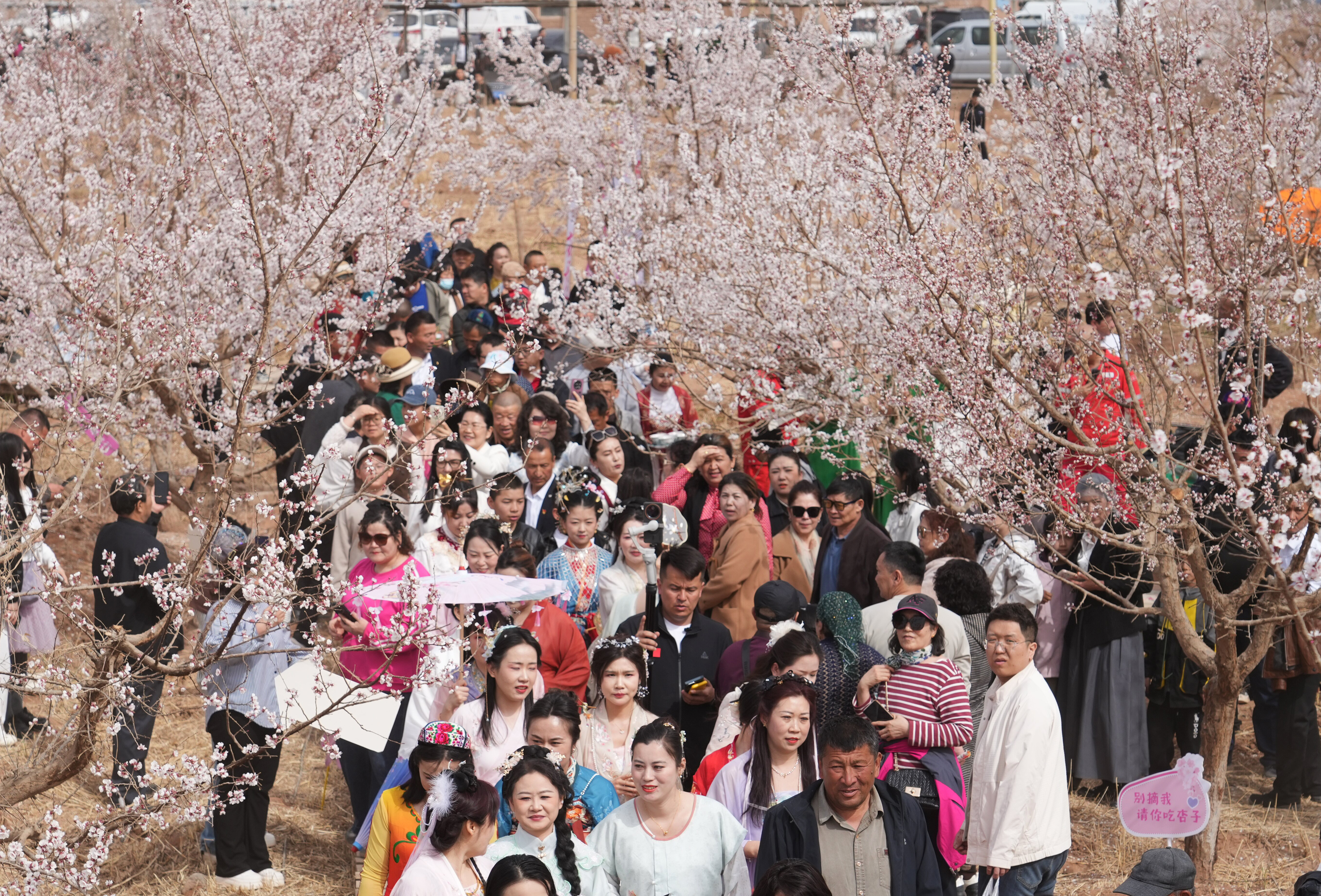 mmexport1774182460539