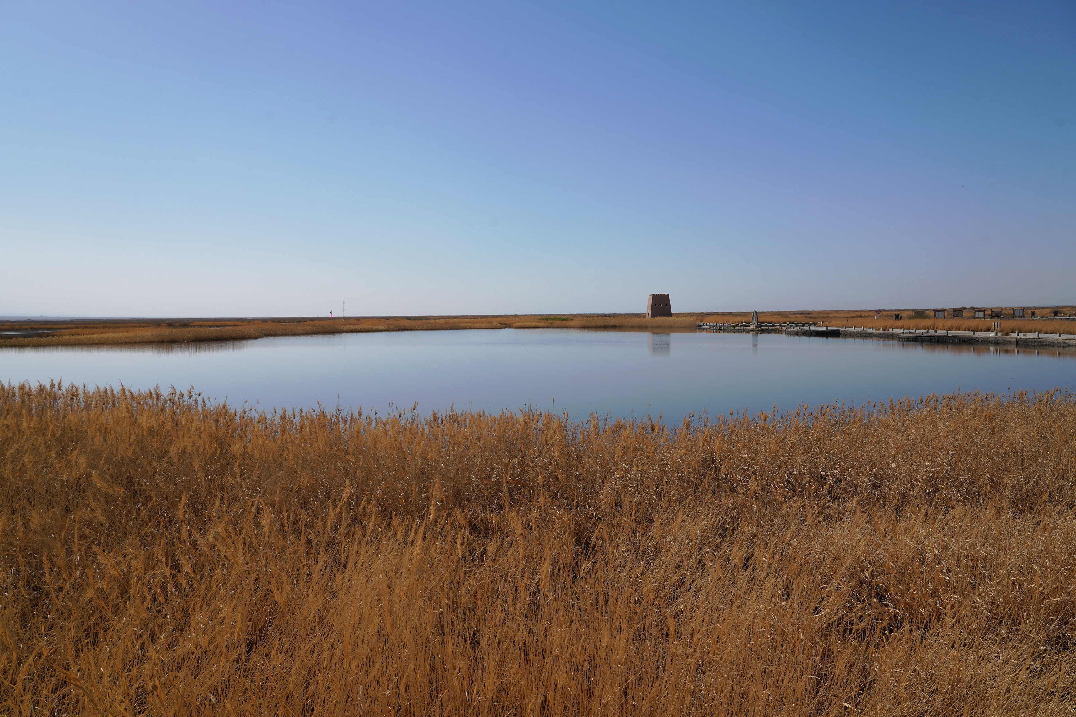 mmexport1775705492857