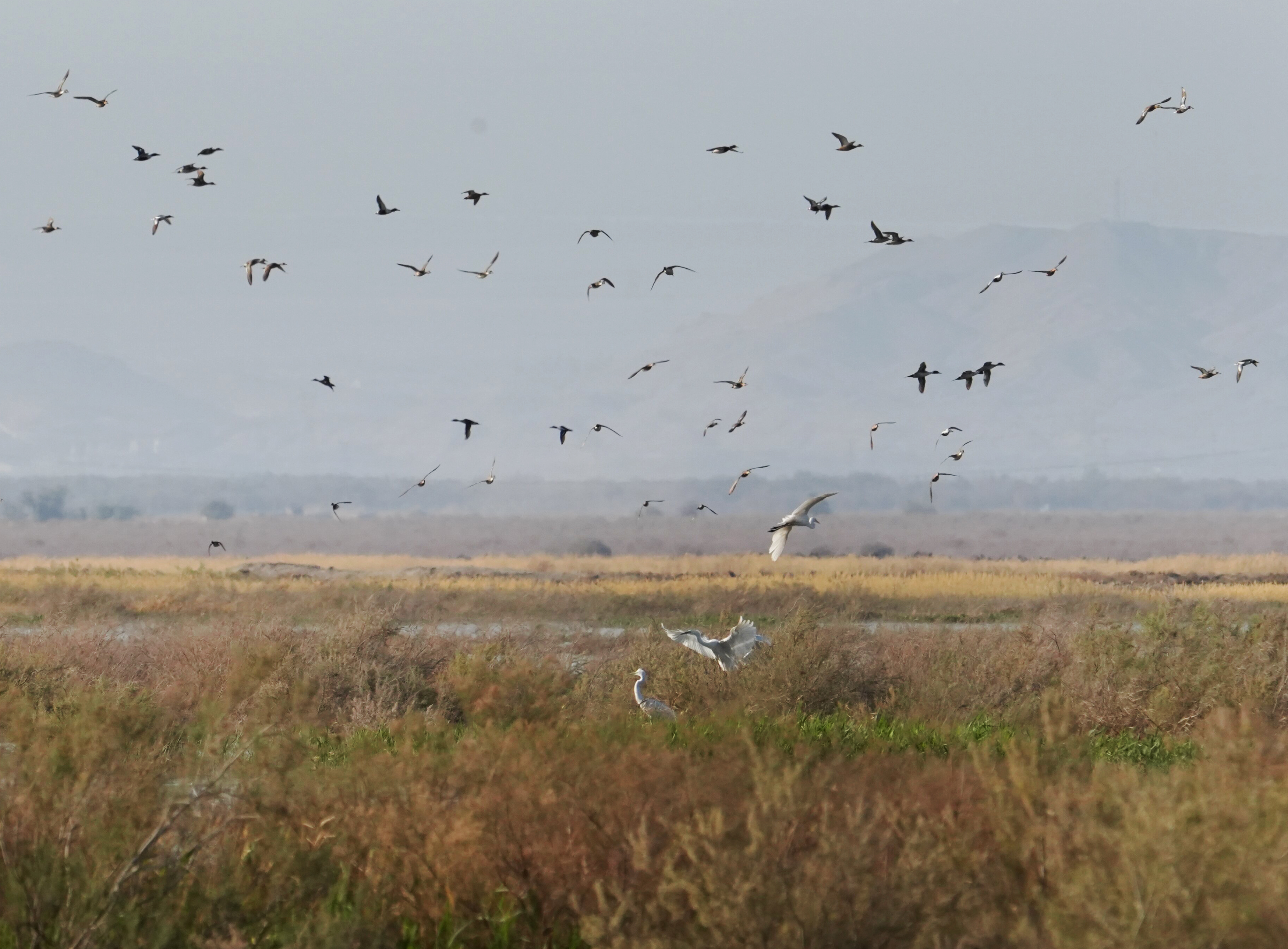 mmexport1775705419953