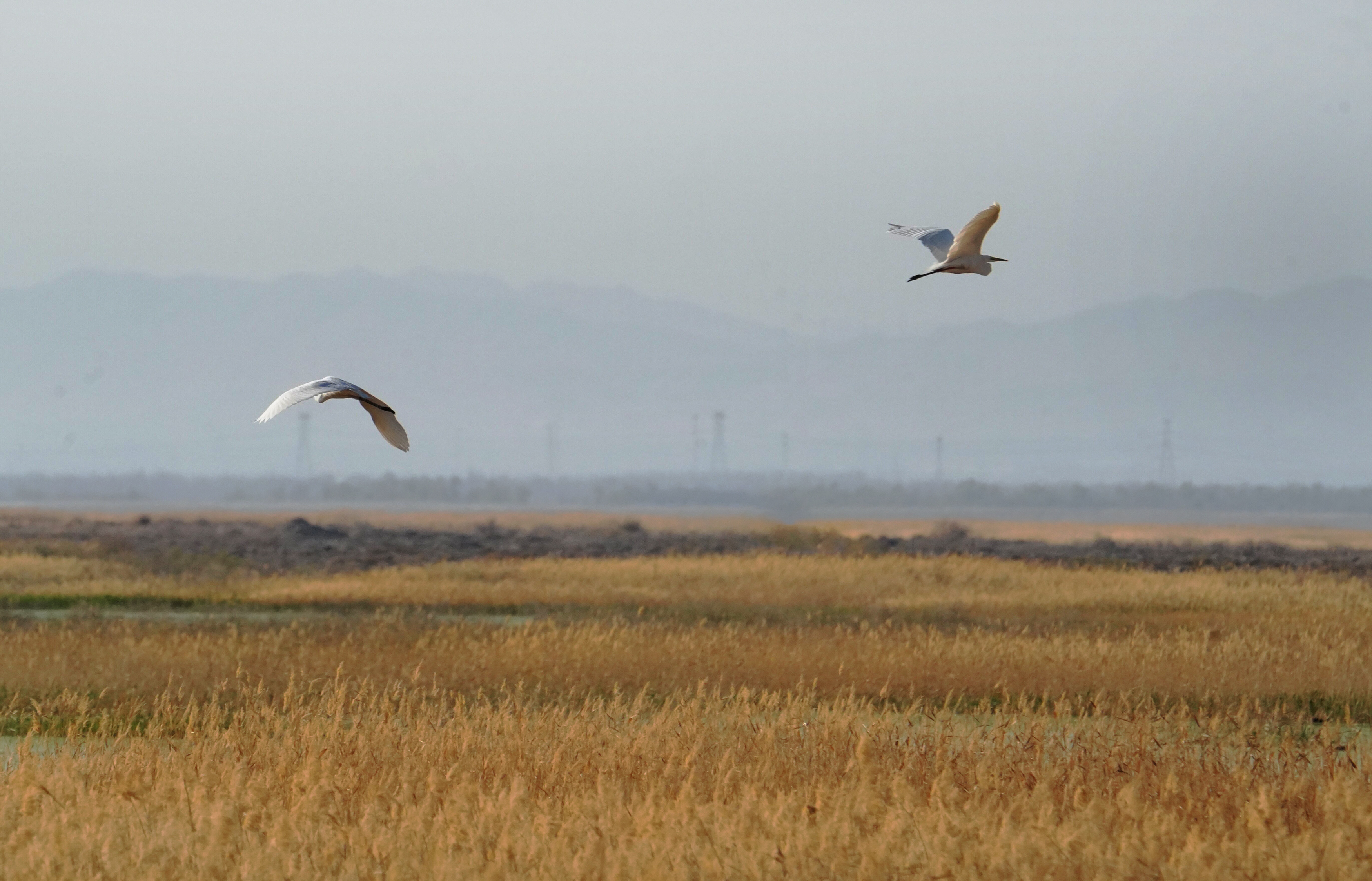 mmexport1775705331967