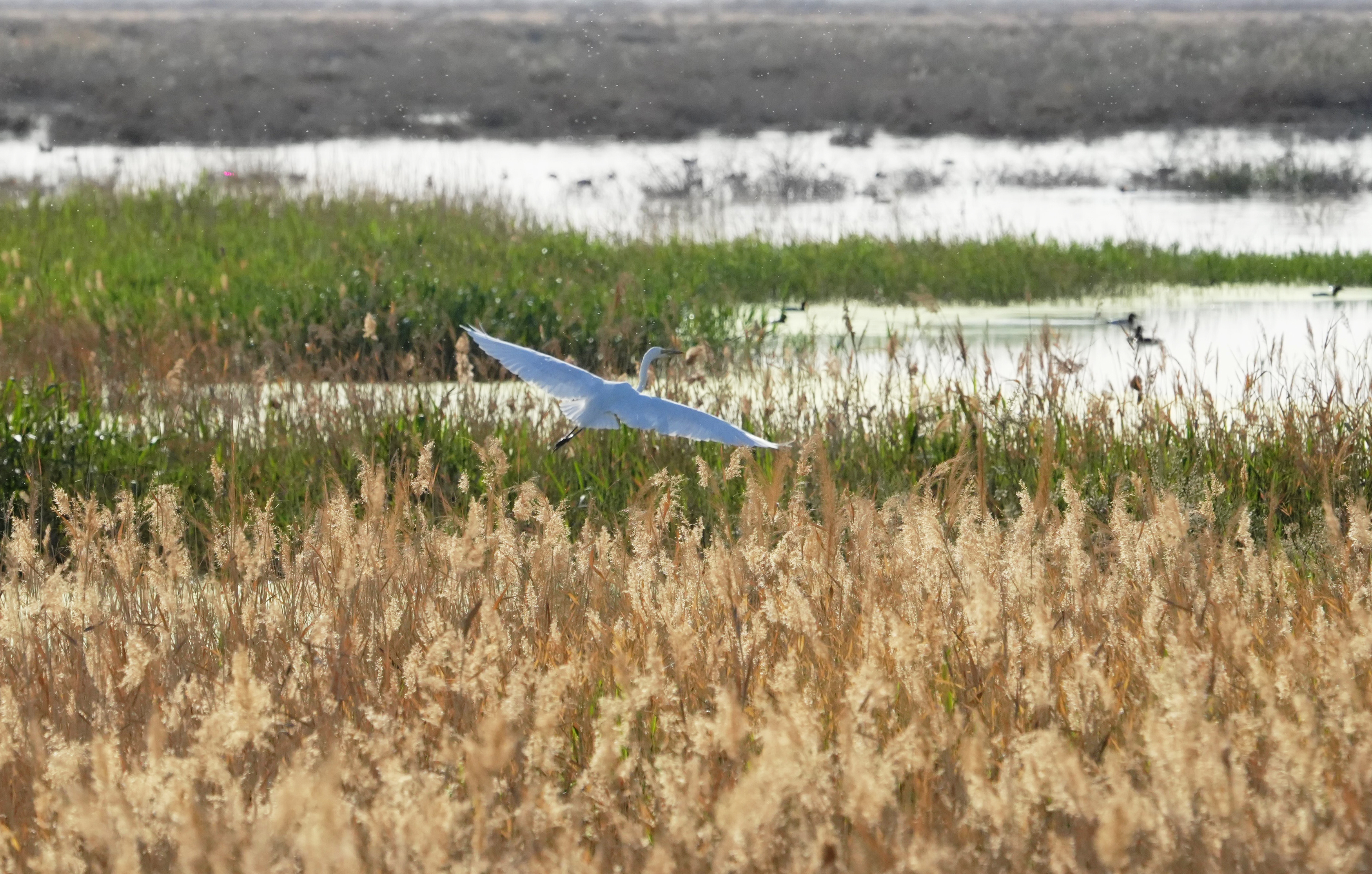 mmexport1775705342178