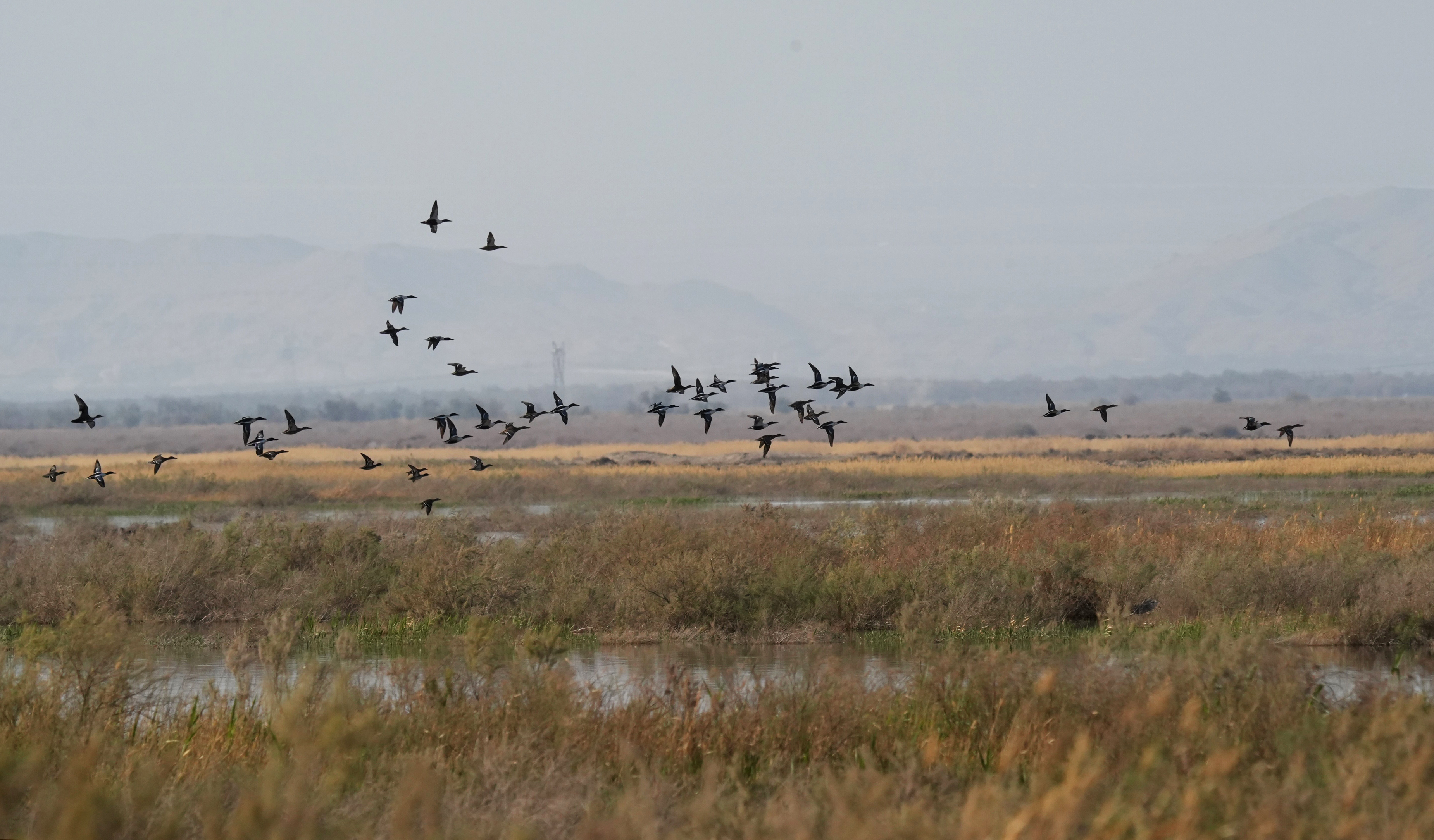 mmexport1775705519217