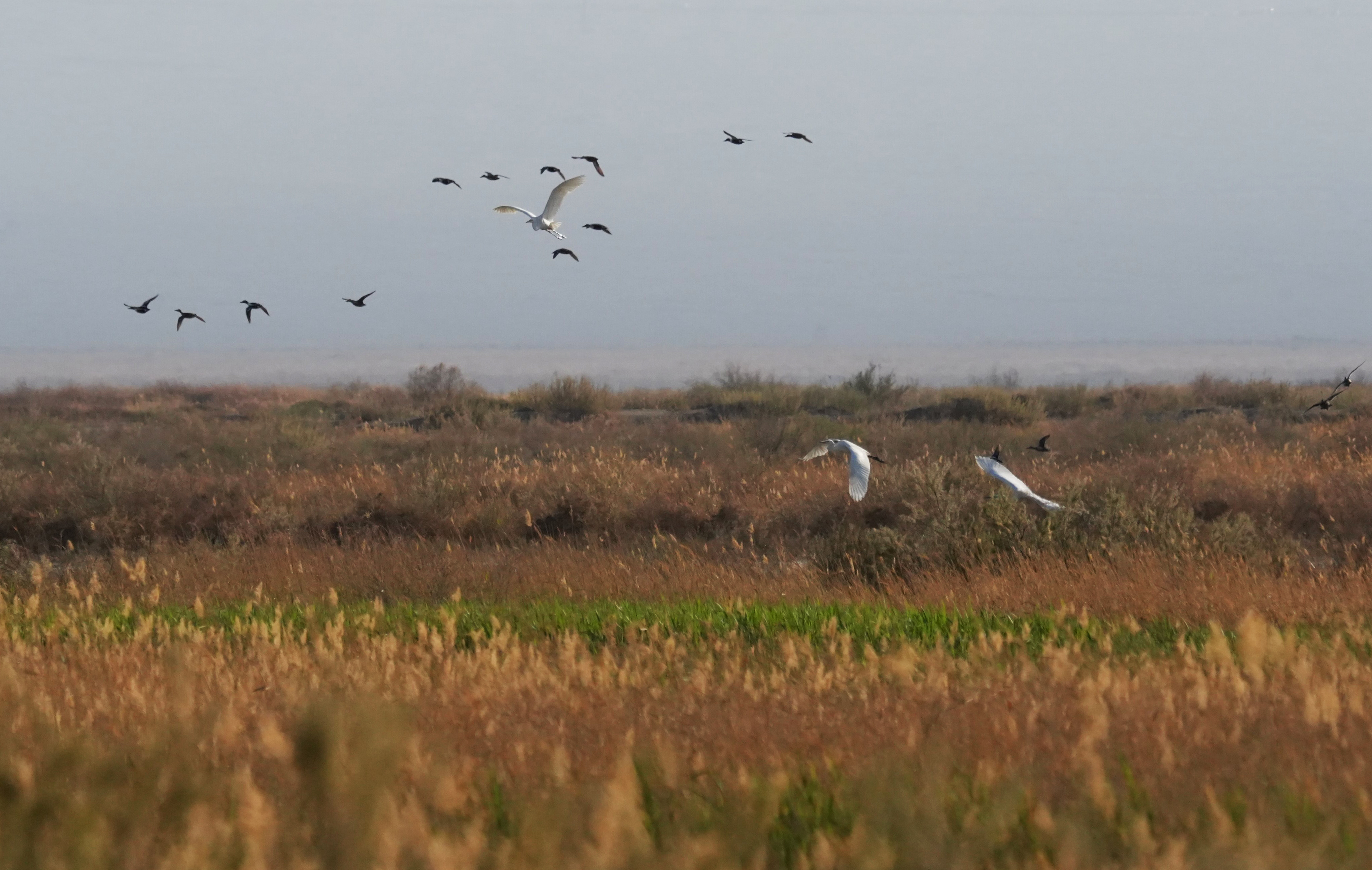 mmexport1775705459210