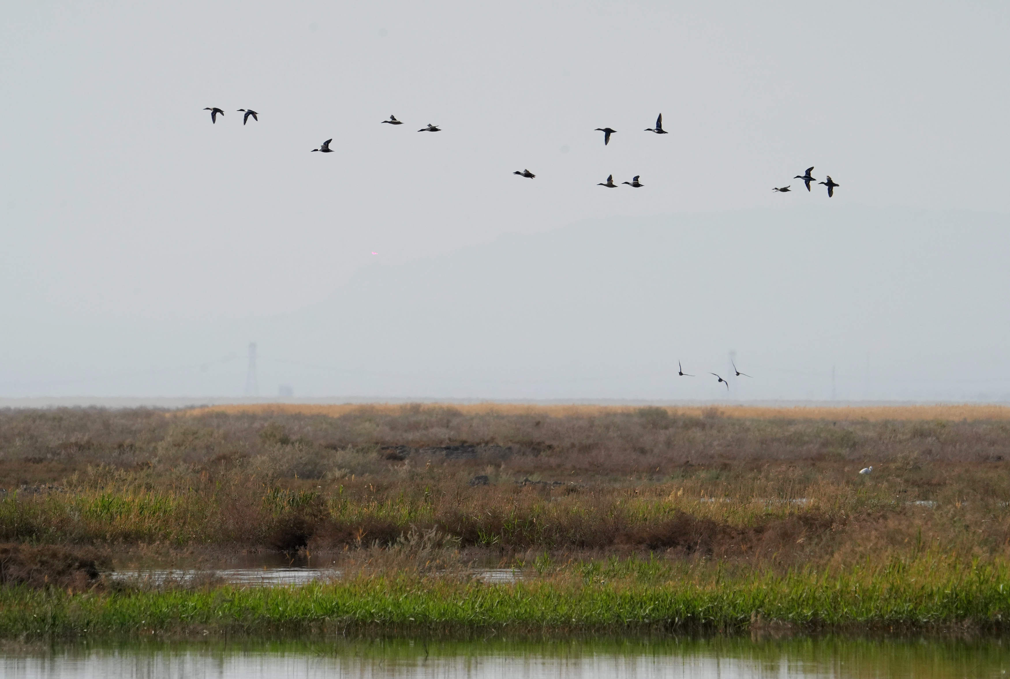 mmexport1775705537172