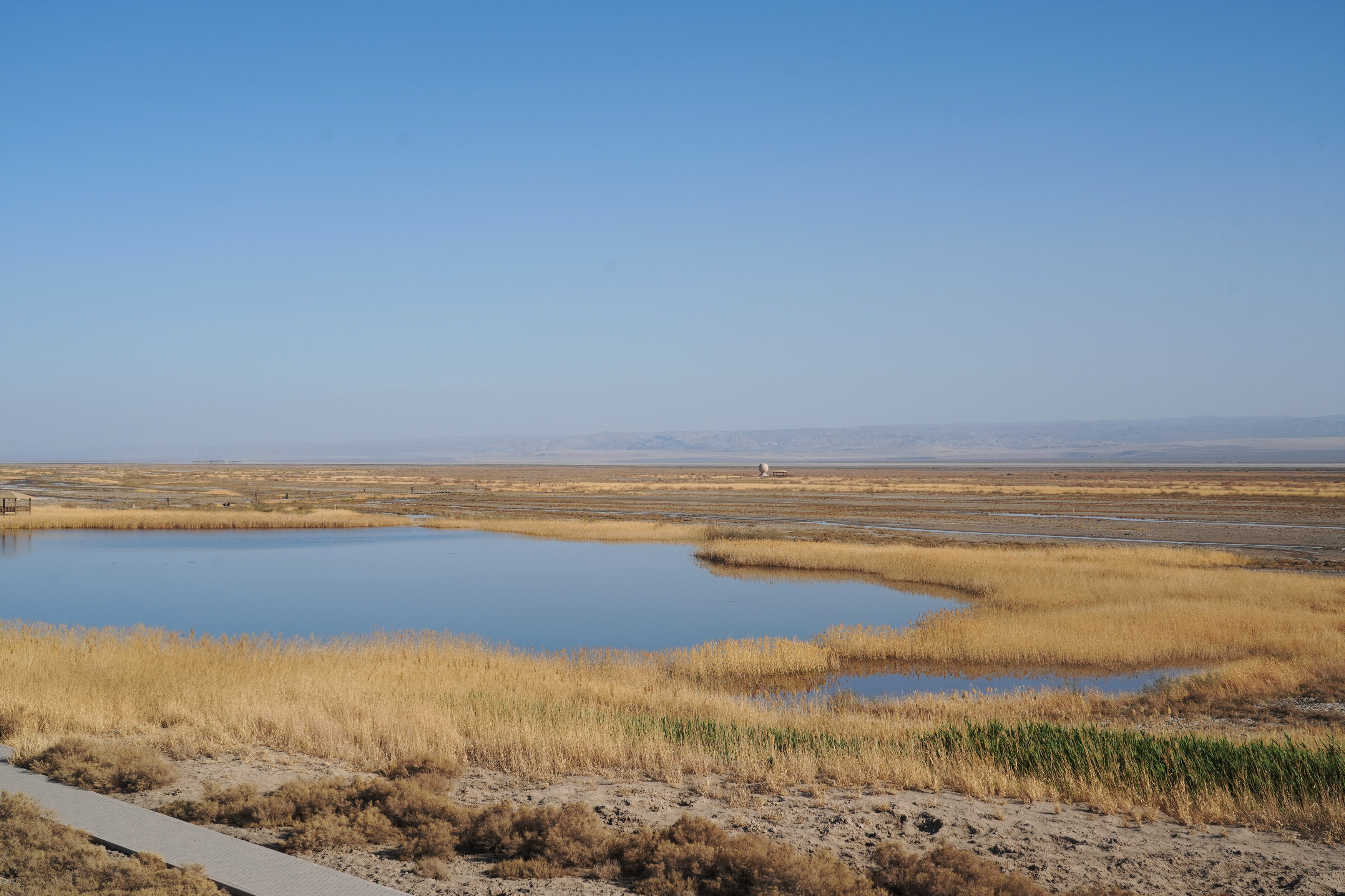 mmexport1775705503299