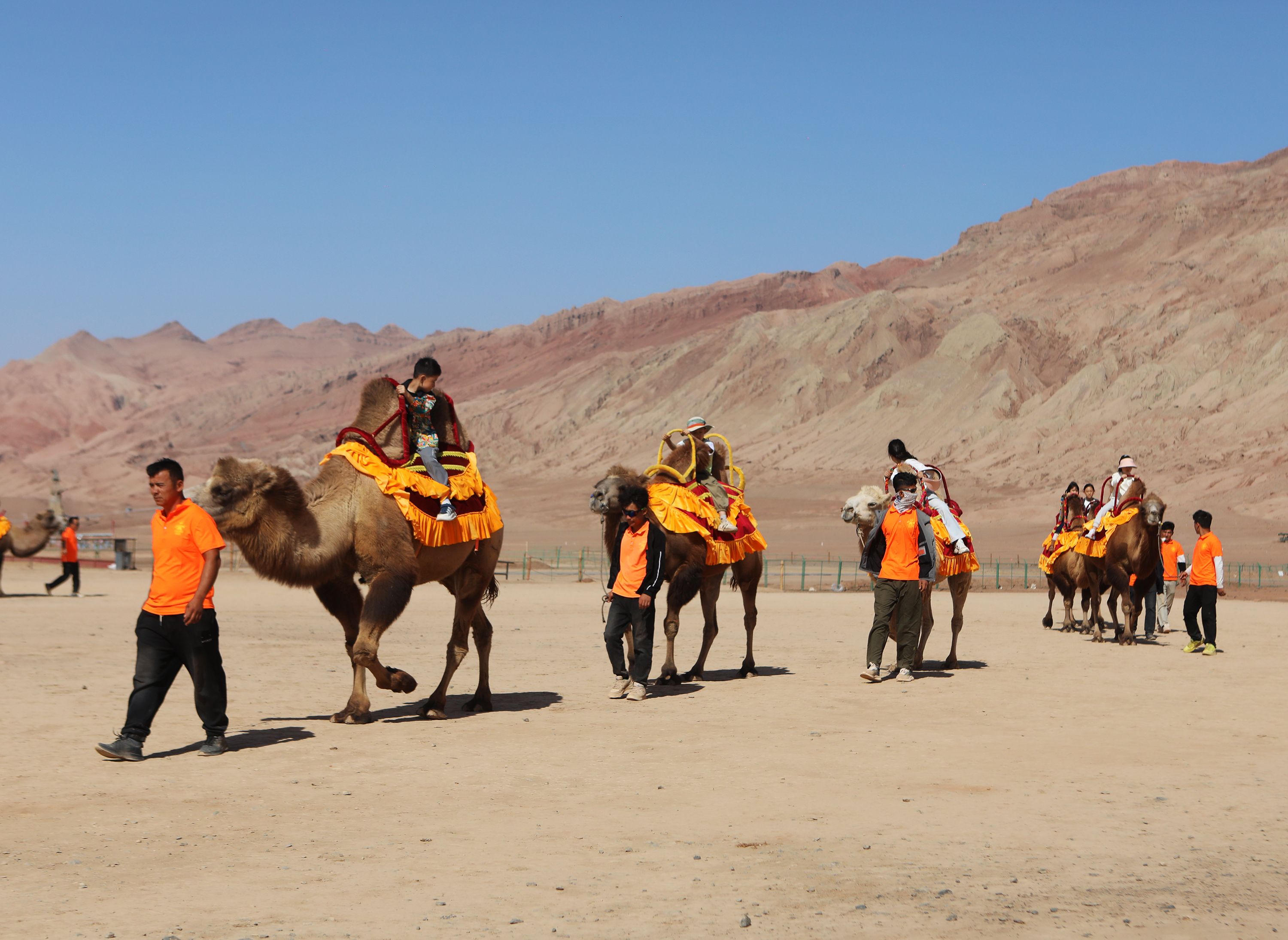 mmexport1777039047459