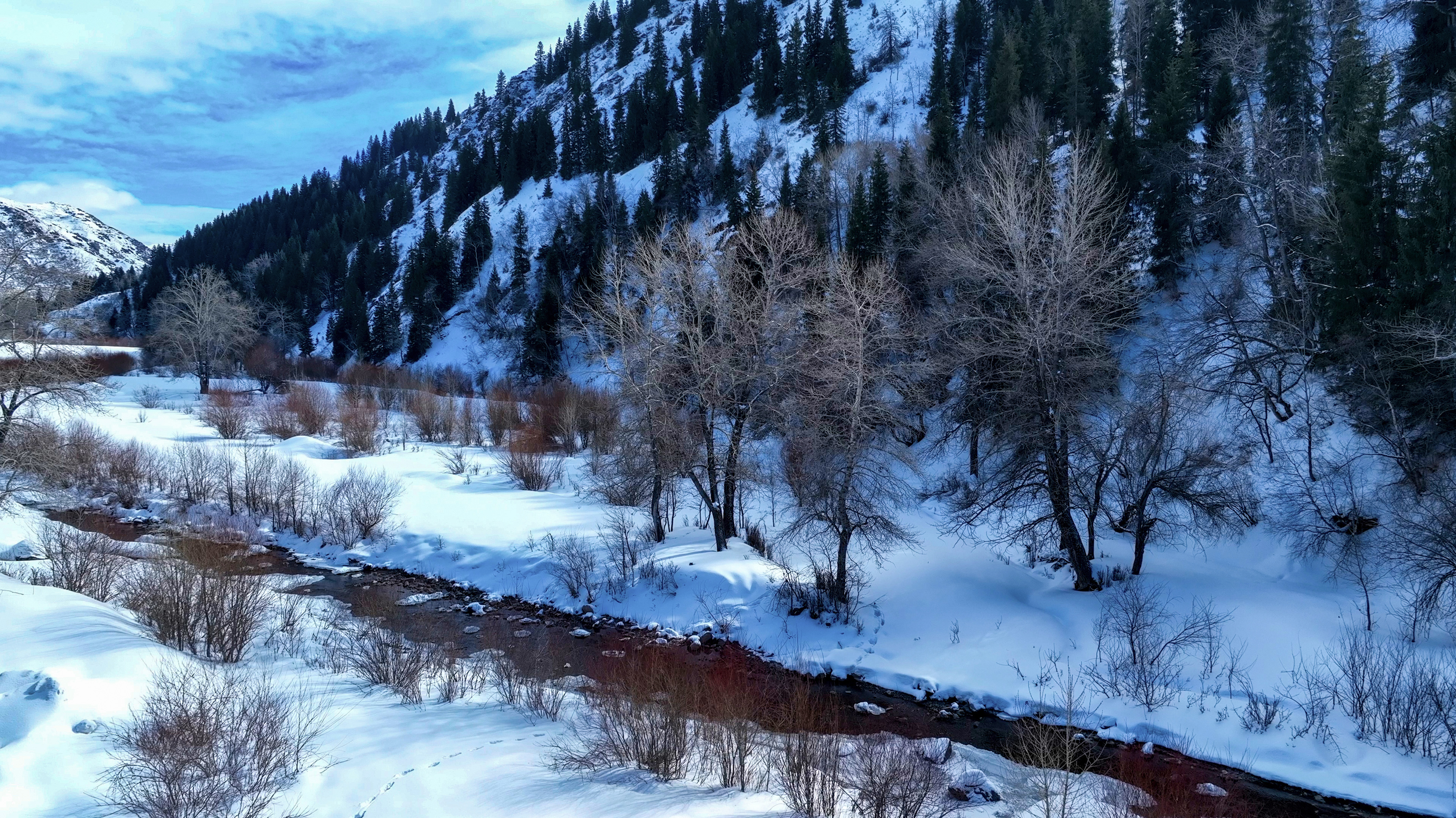 疆山如画丨巴尔鲁克山白雪覆盖似一幅水墨画卷
