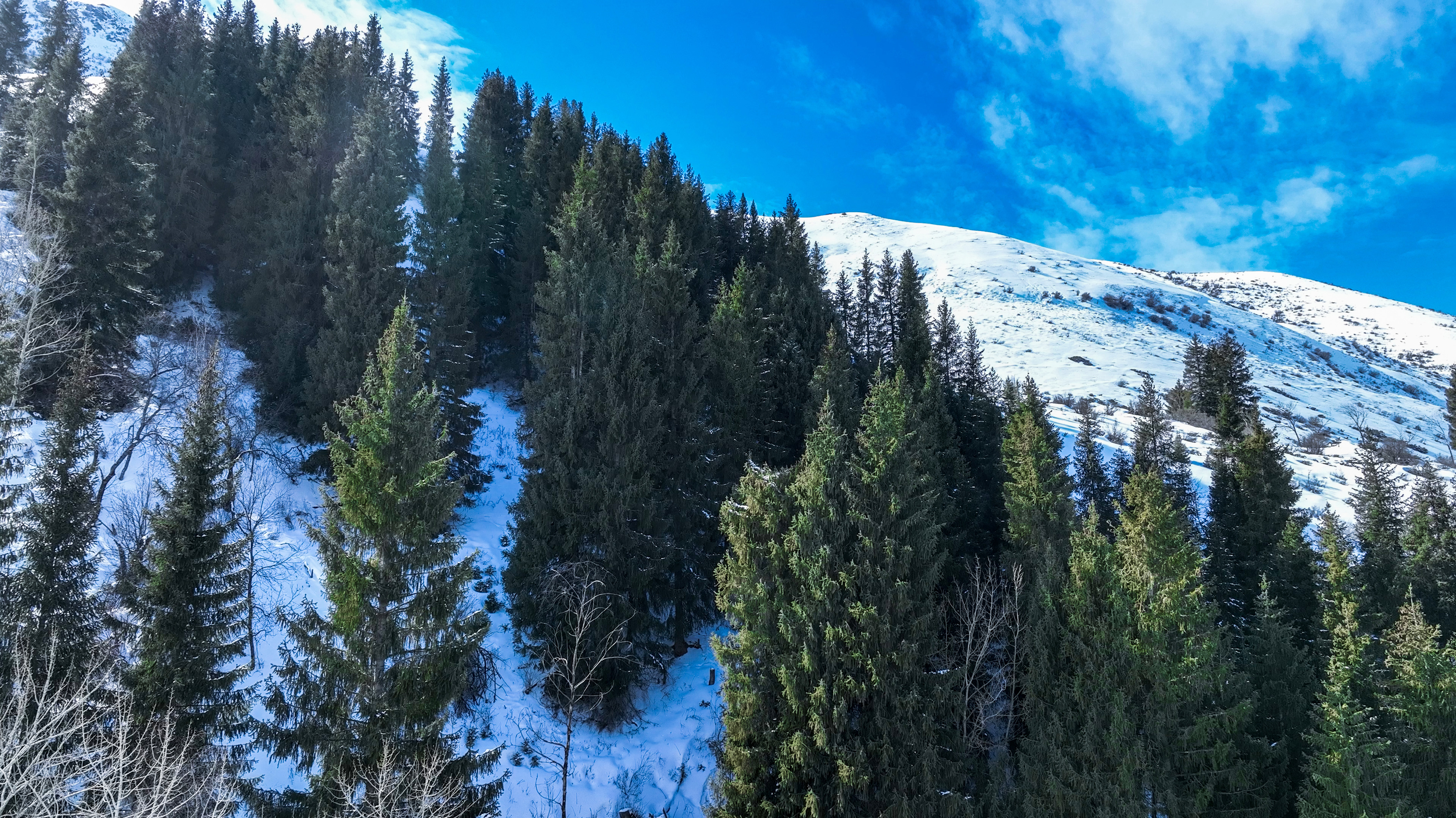 疆山如画丨巴尔鲁克山白雪覆盖似一幅水墨画卷