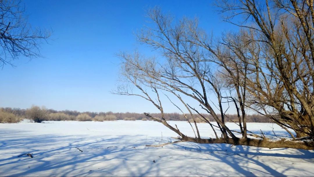 塔城市春天里的雪景美如画