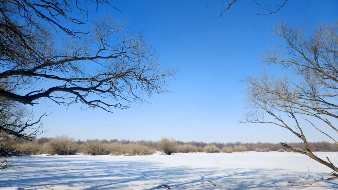 塔城市春天里的雪景美如画