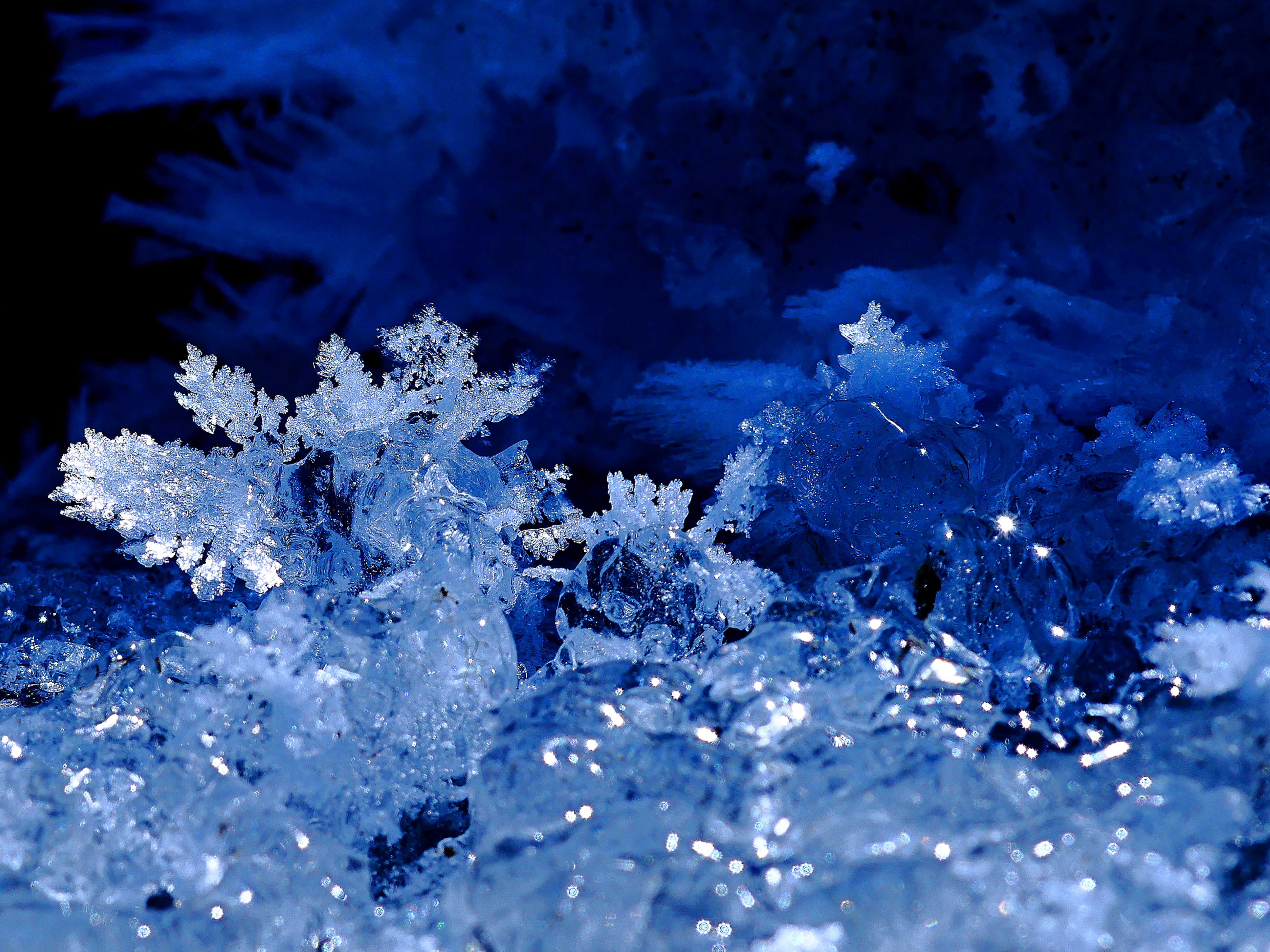 图说新疆加依尔山涧盛开冰花