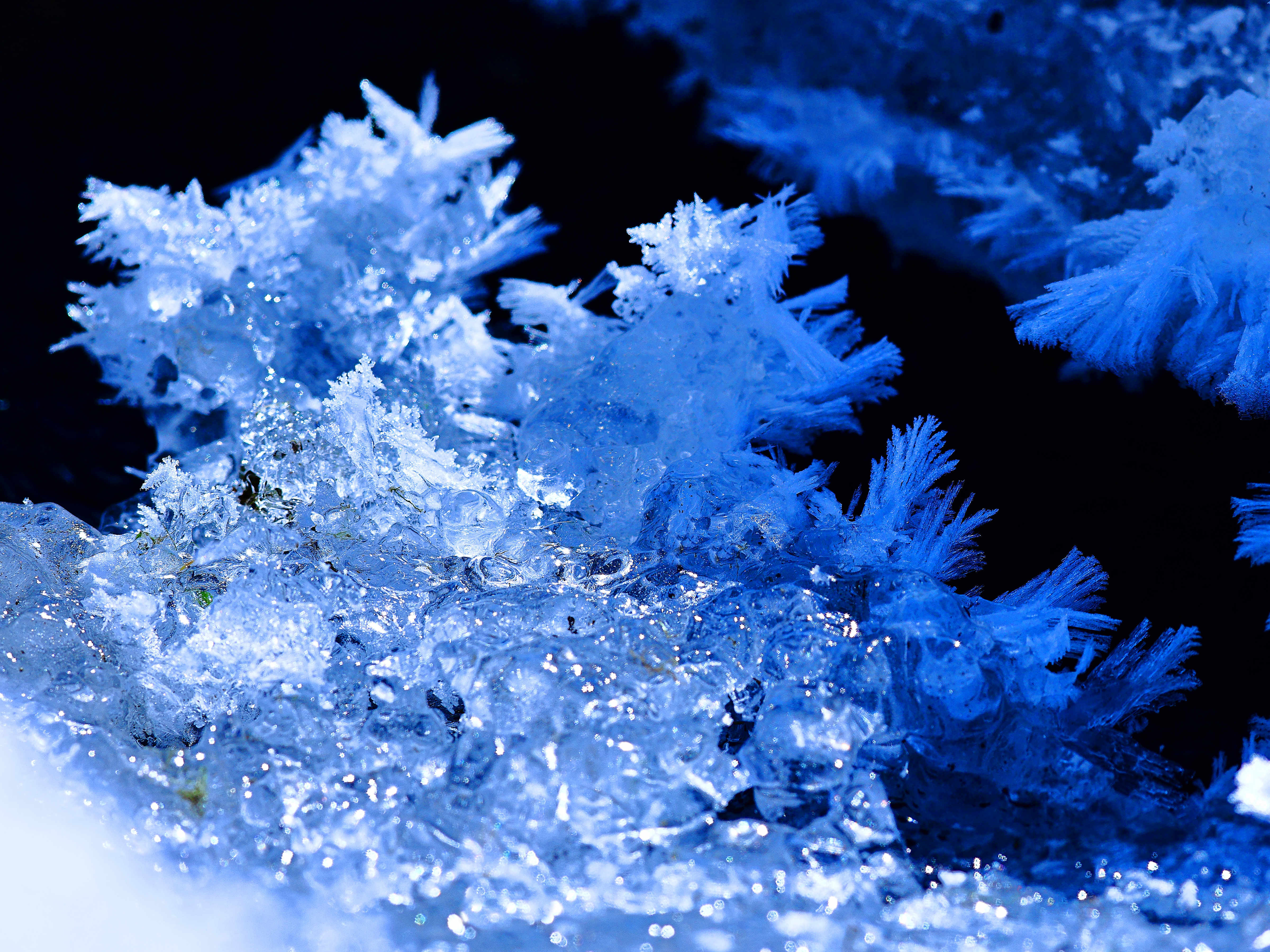 图说新疆加依尔山涧盛开冰花