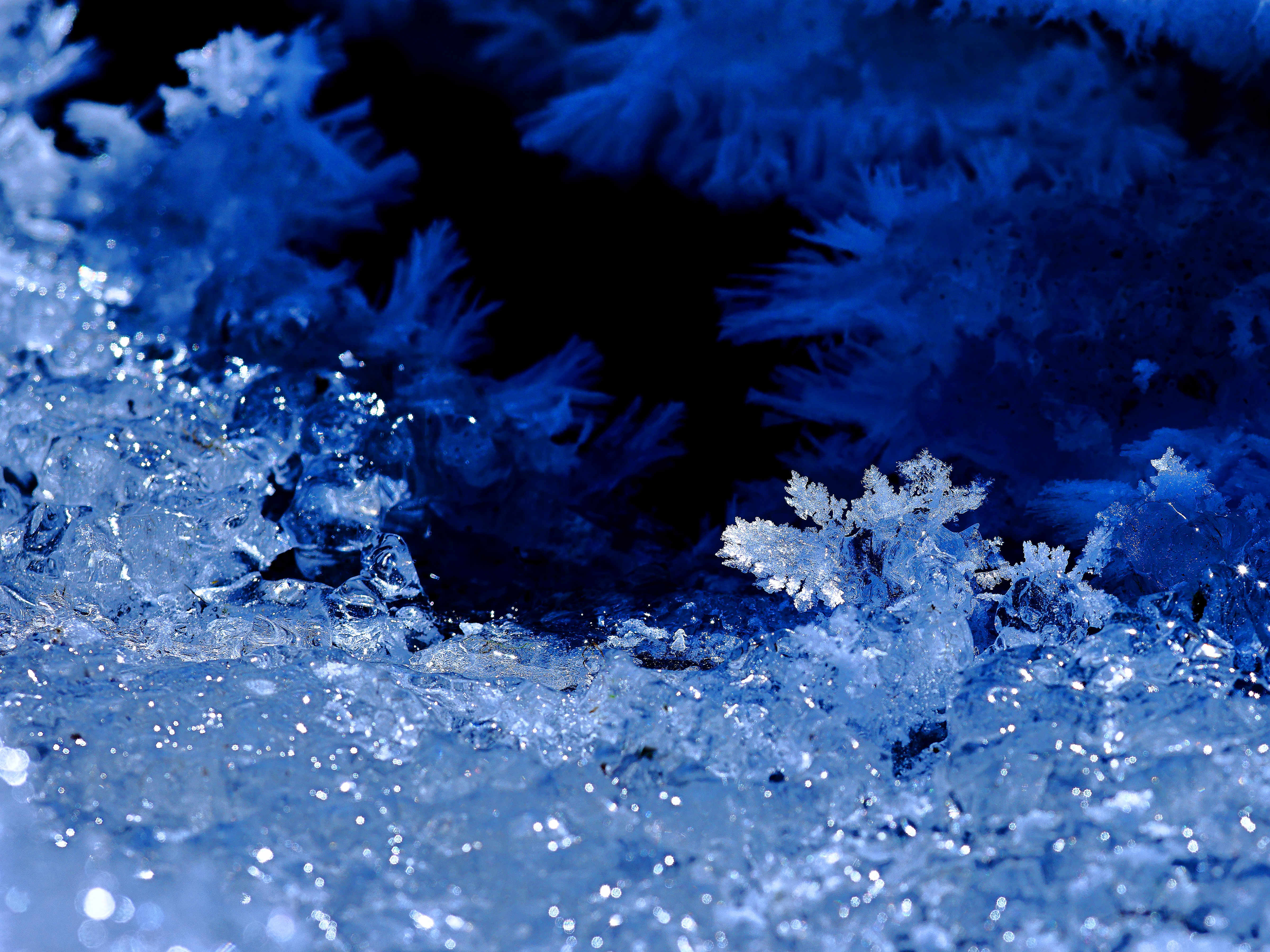 图说新疆加依尔山涧盛开冰花