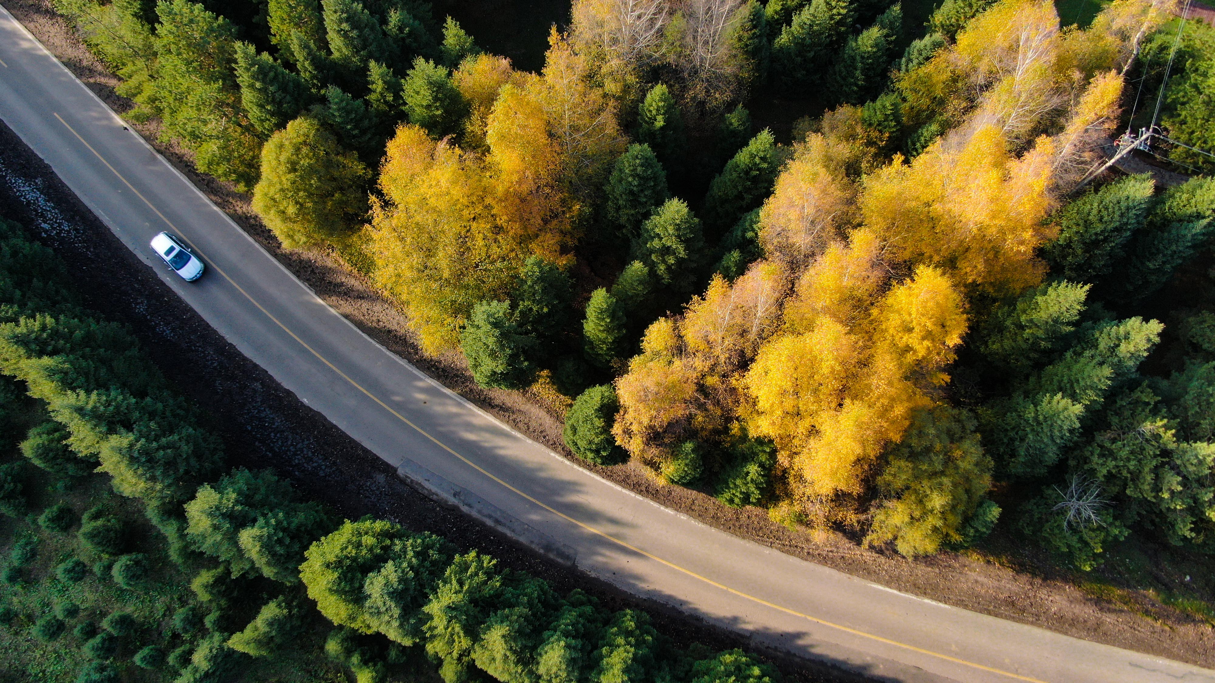 藏不住了最美的秋景就在那拉提景区里