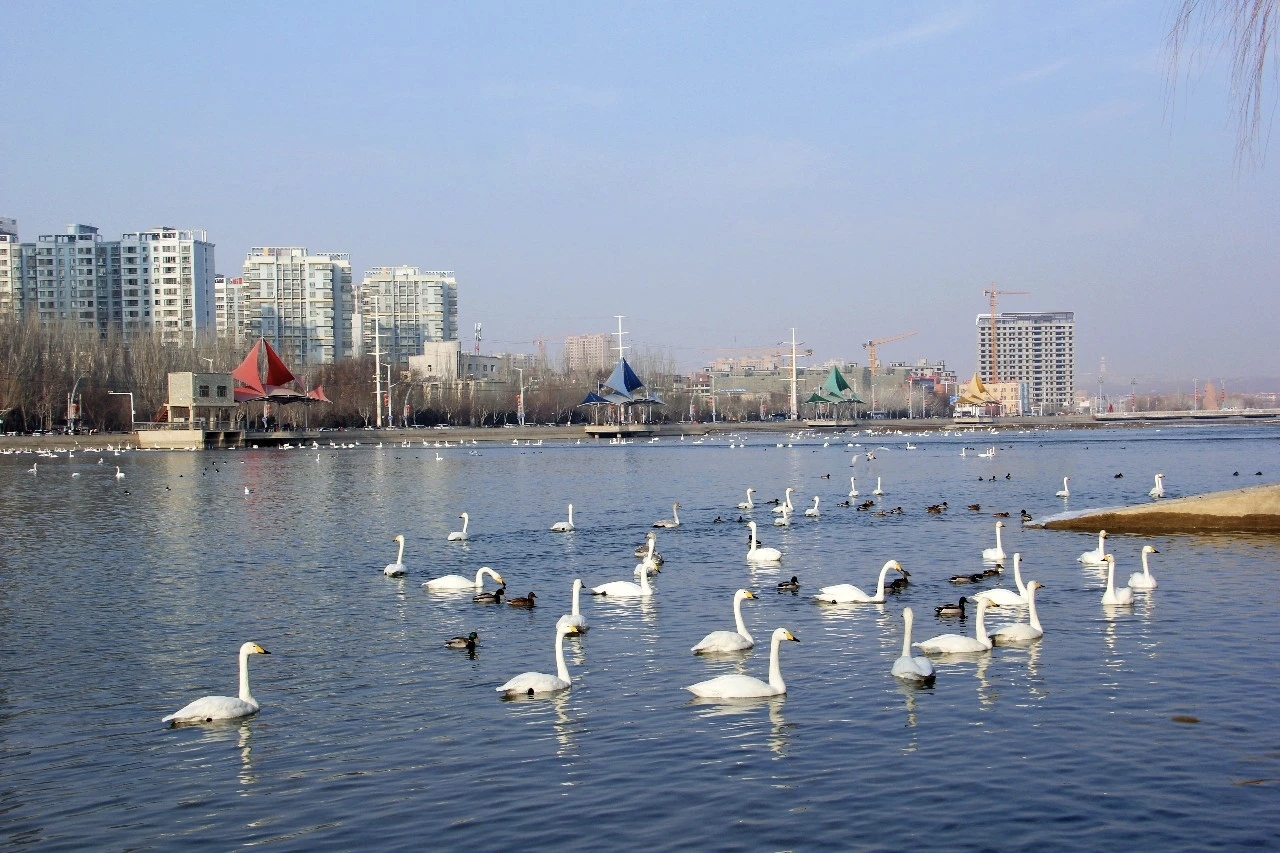 mmexport1768314768598