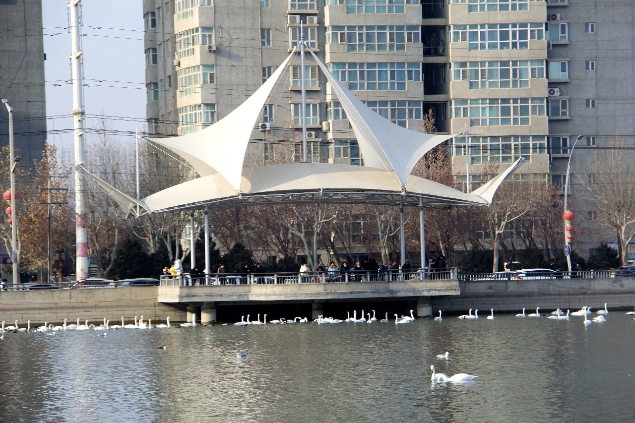 mmexport1768314775401