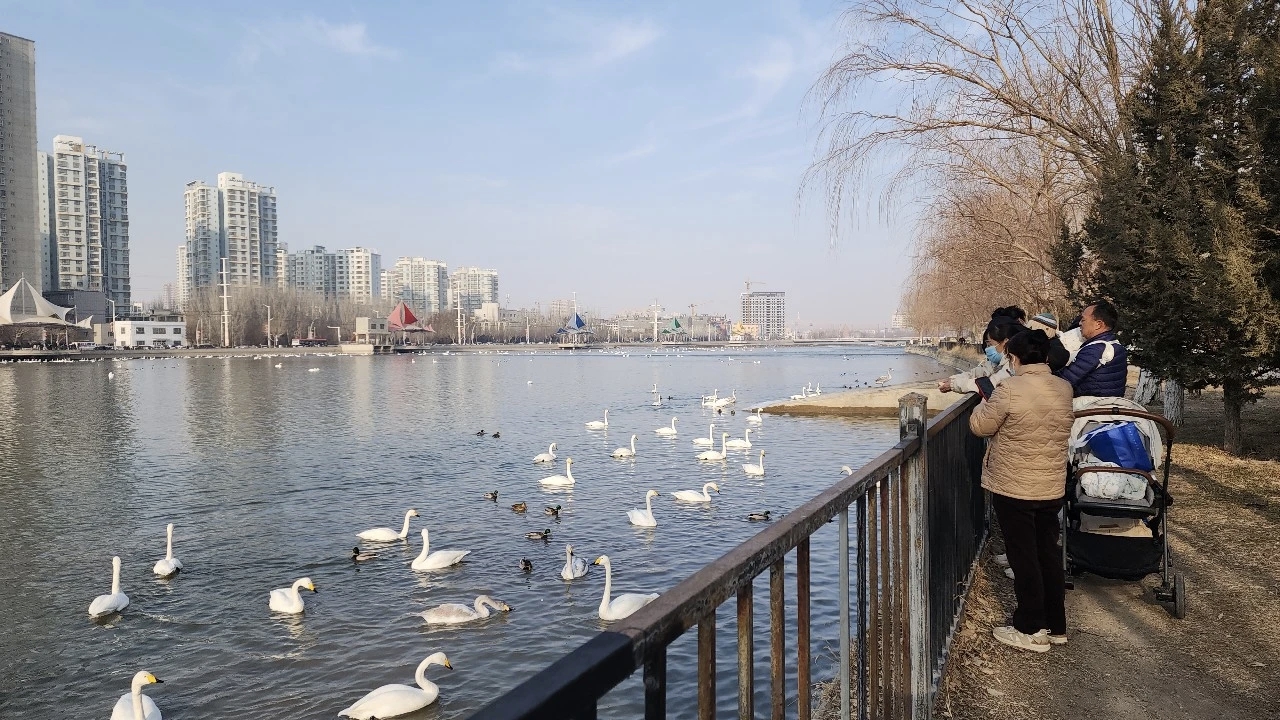 mmexport1768314781612