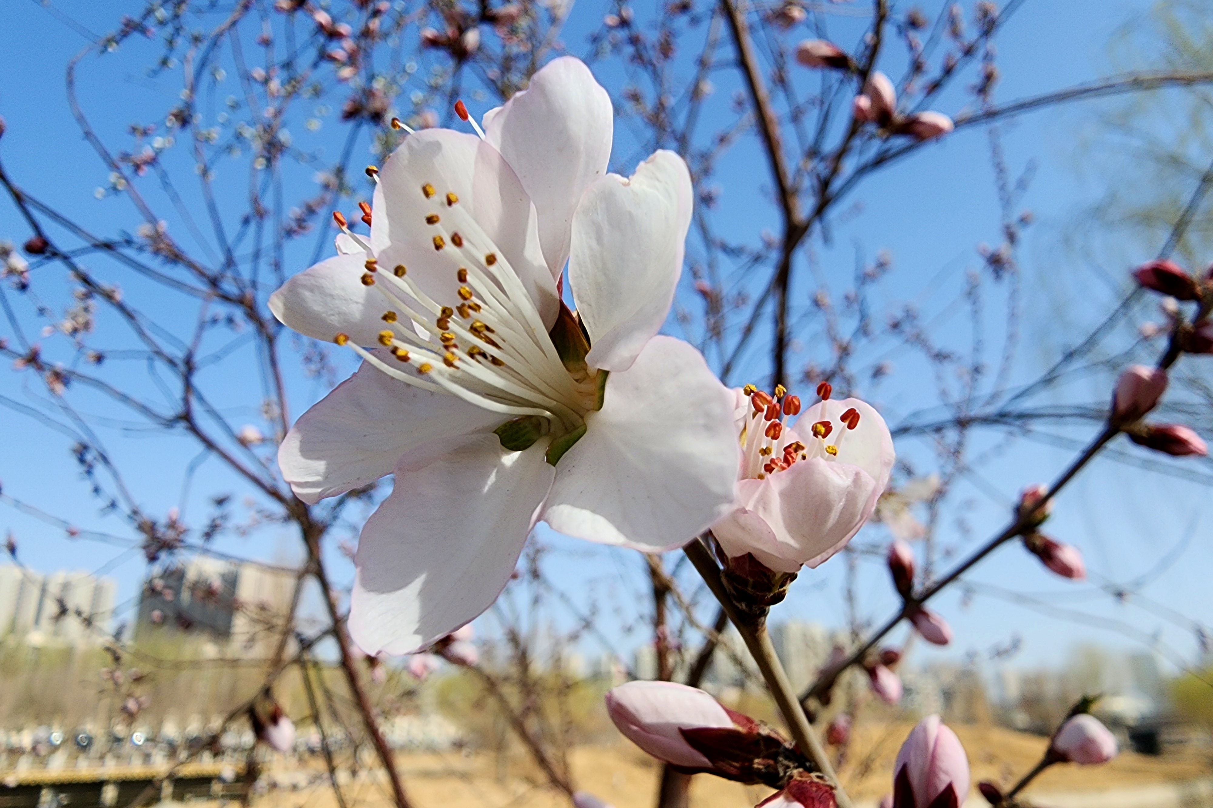 20260313_114950_副本