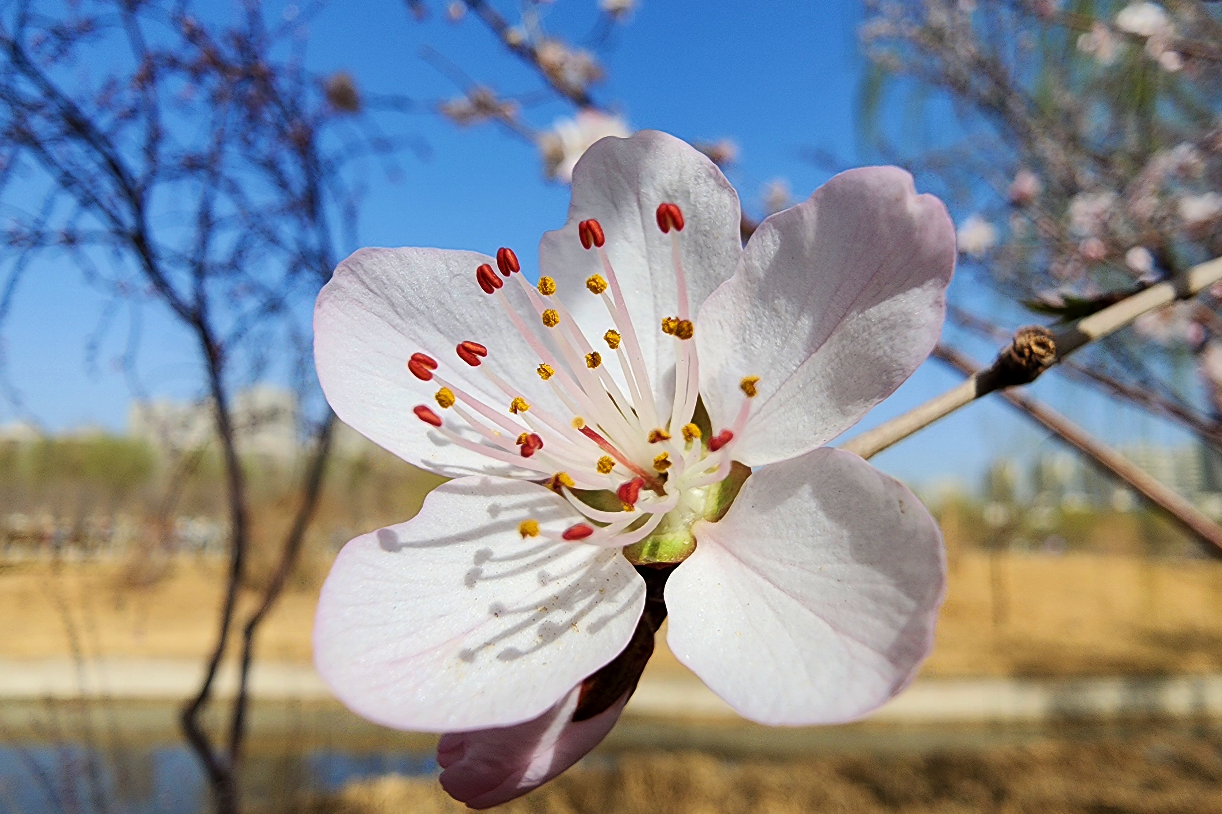 20260313_115553_副本